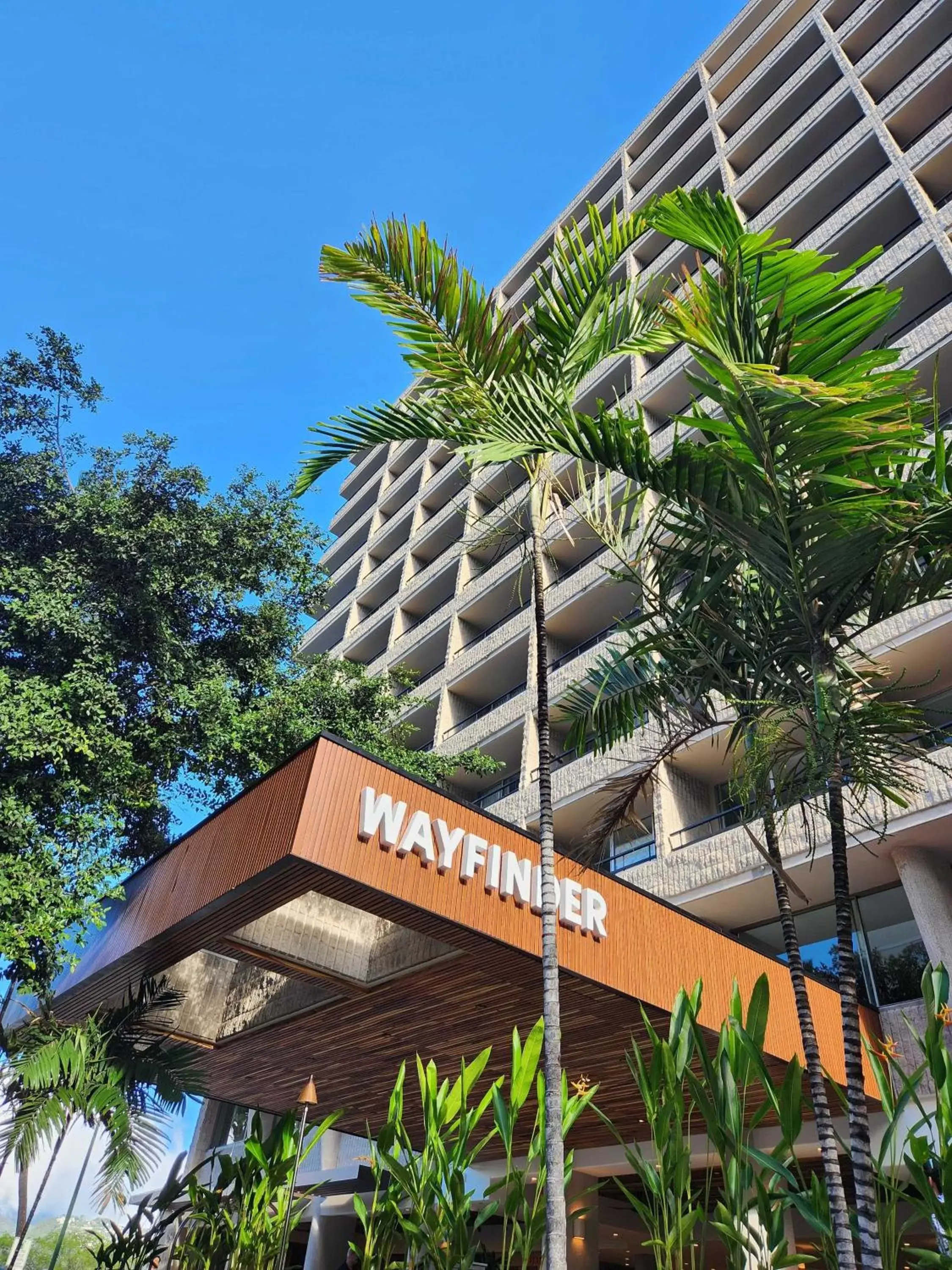 Wayfinder Waikiki - Voted Top 10 Best Hotels in Hawaii! Wayfinder Waikiki - Voted Top 10 Best Hotels in Hawaii!
