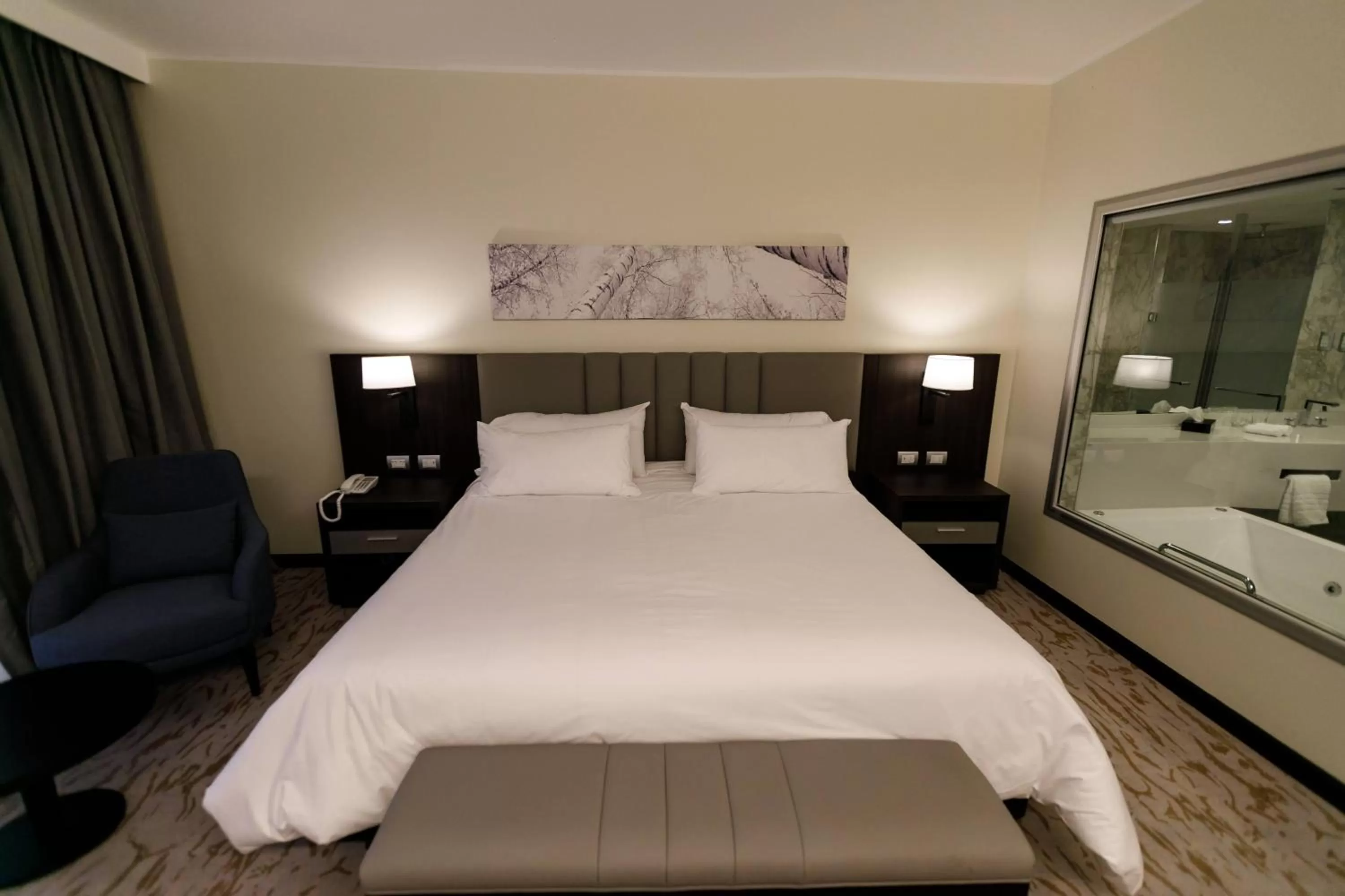 Bed in Hilton Garden Inn Santiago Del Estero - HILTON HOTELS