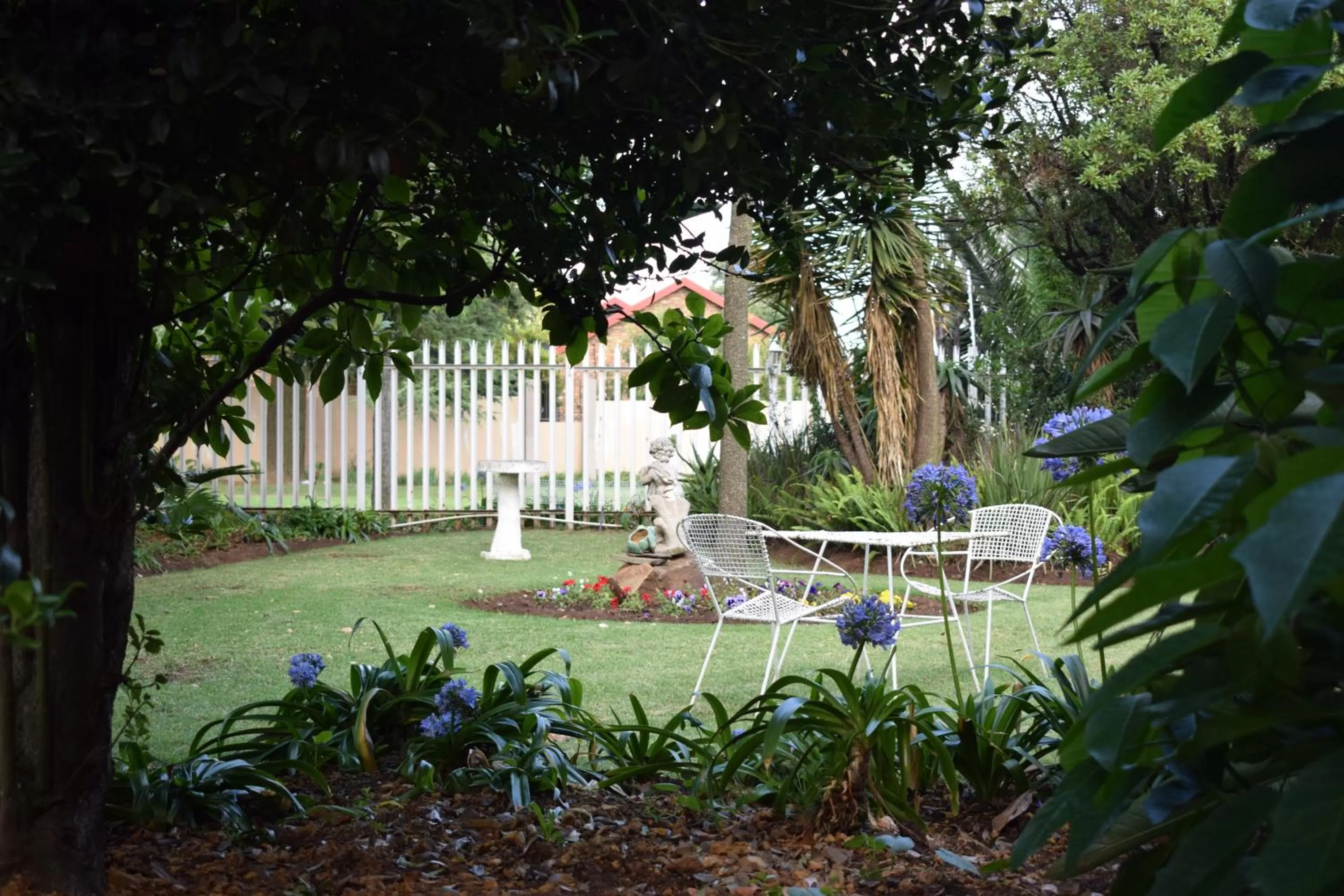 Garden in Moye Guest House