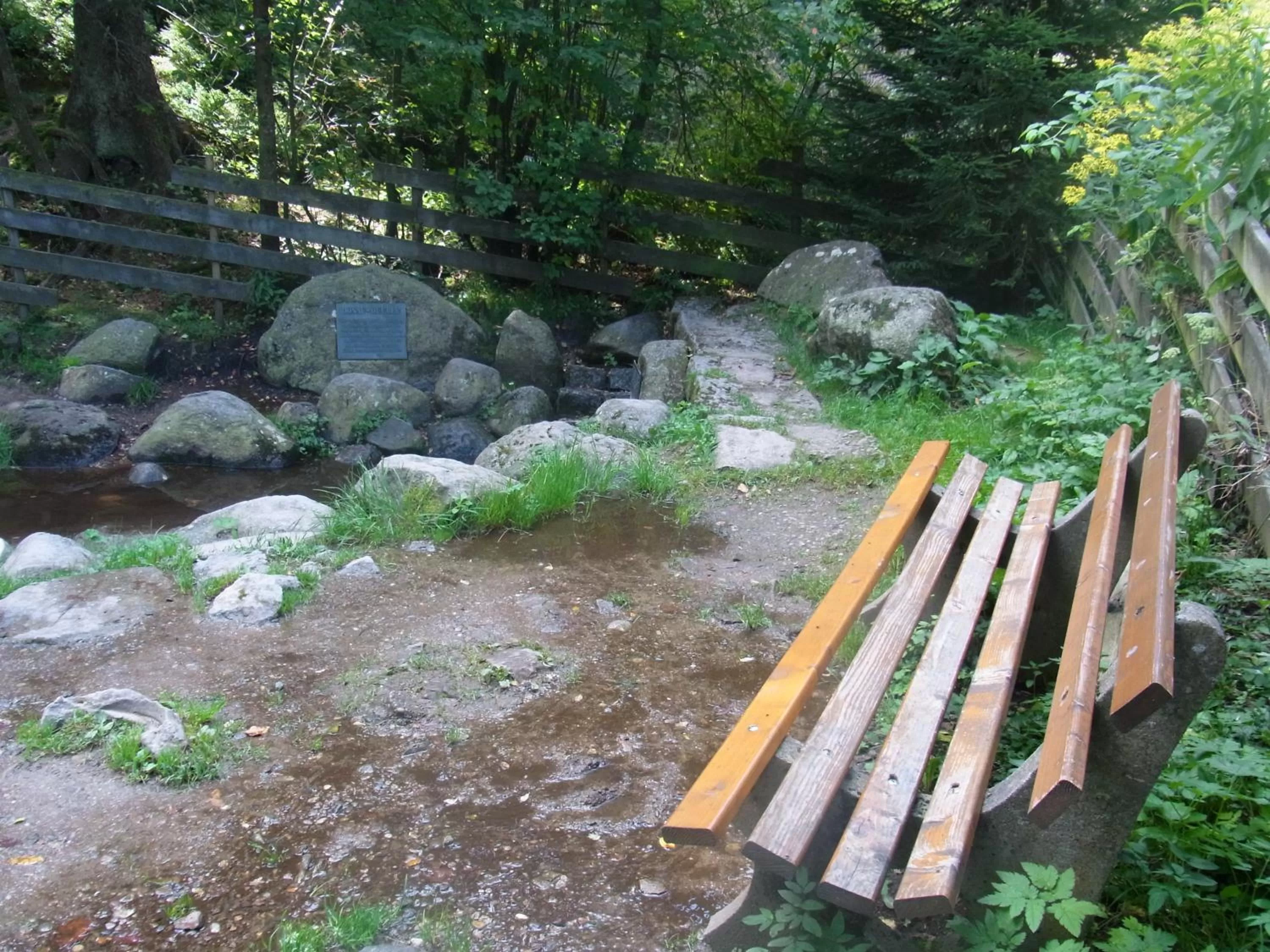 Natural landscape in ZUR TRAUBE Schwarzwaldhotel & Restaurant am Titisee