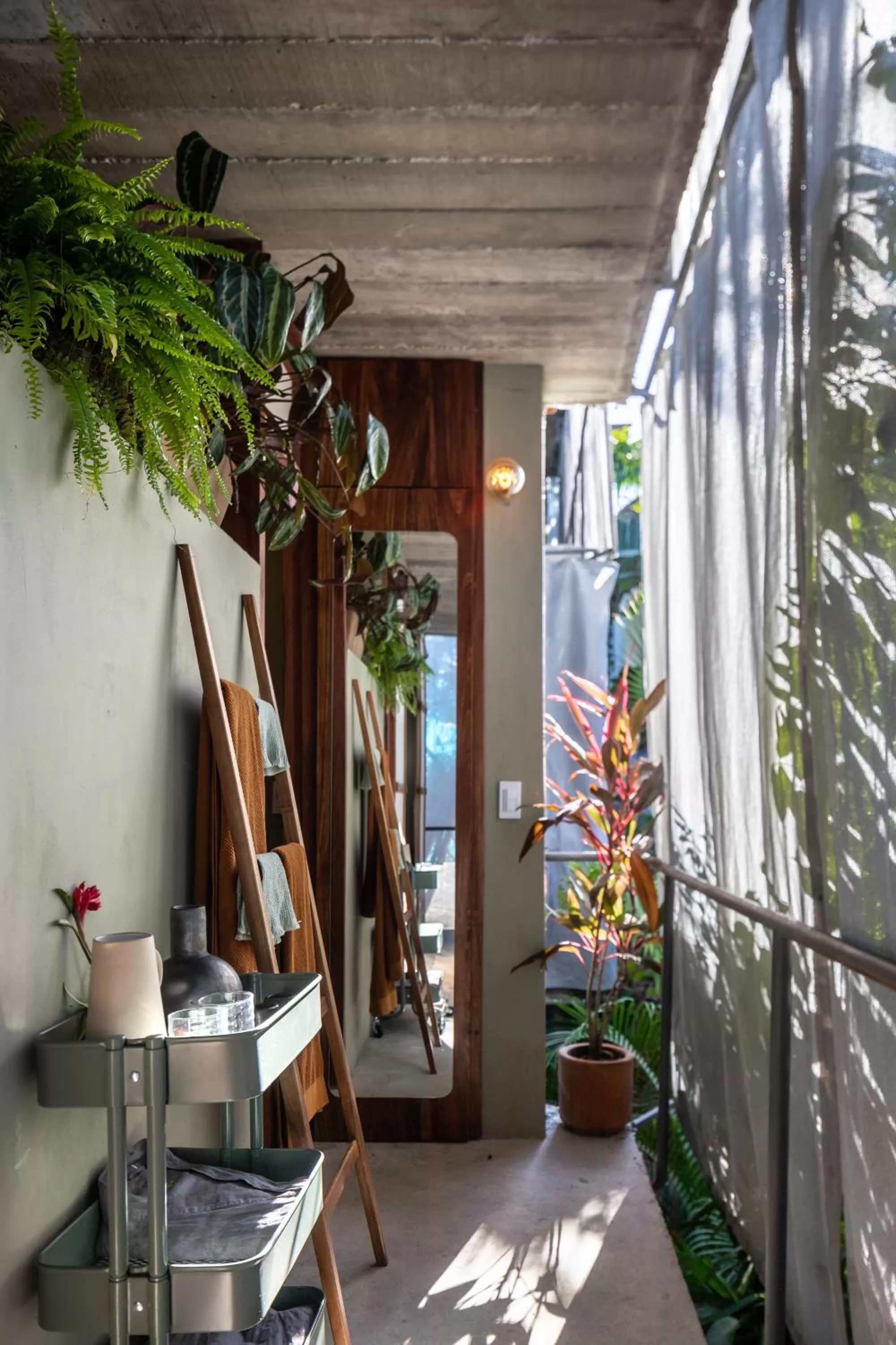 Other in AORA San Pancho