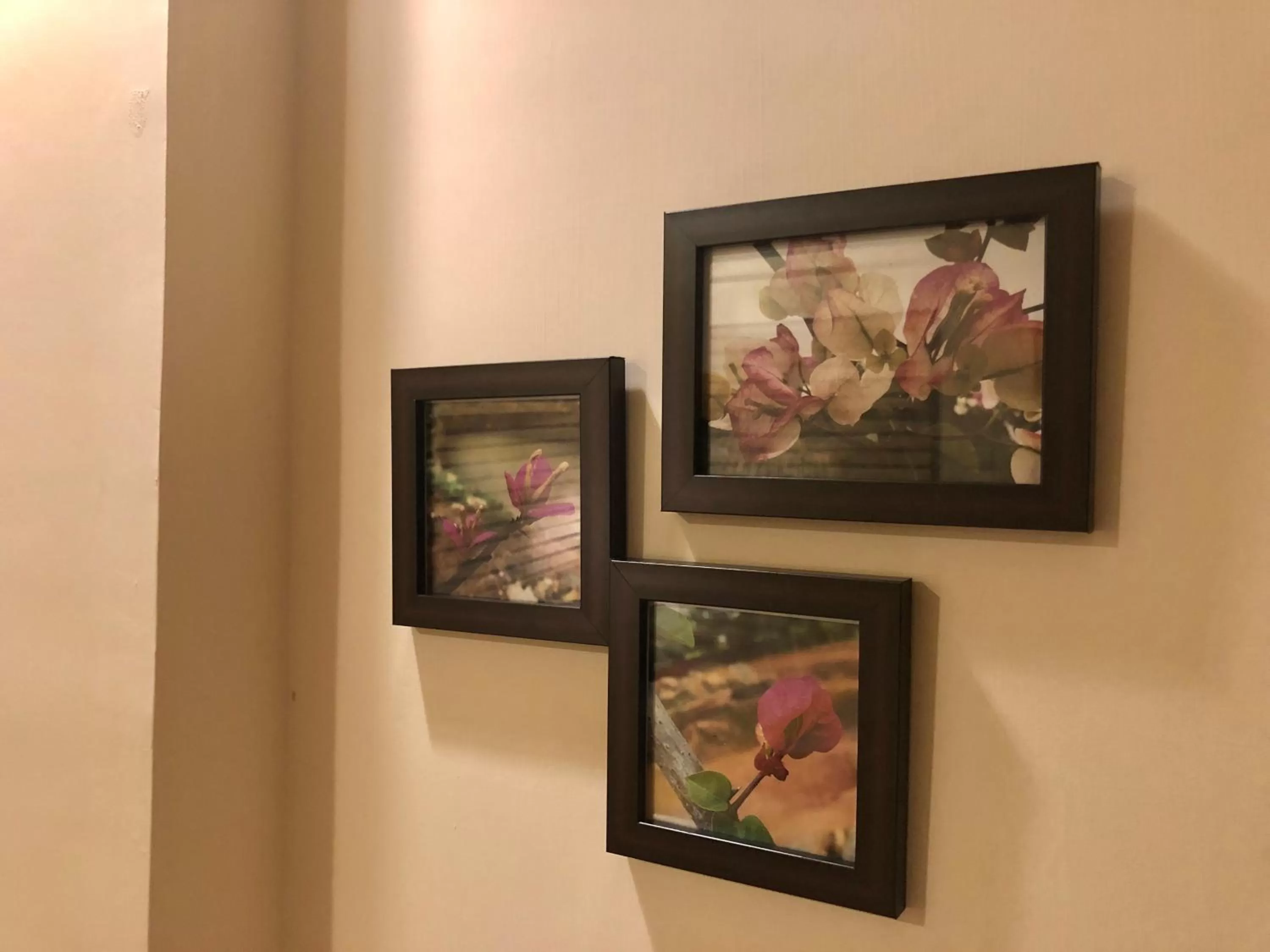 TV/Entertainment Center in Bougainvillea