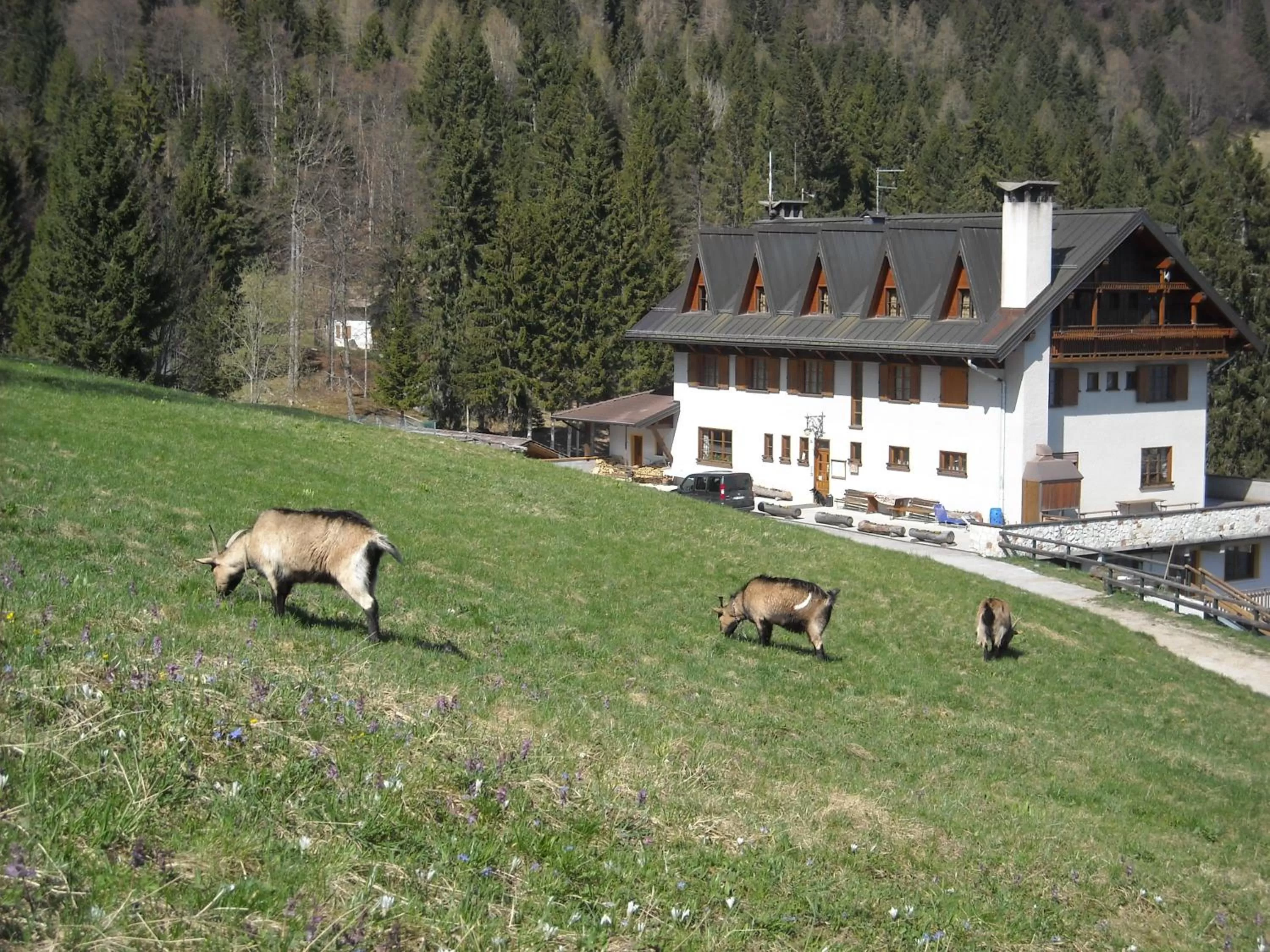 Property building in Al Tajol