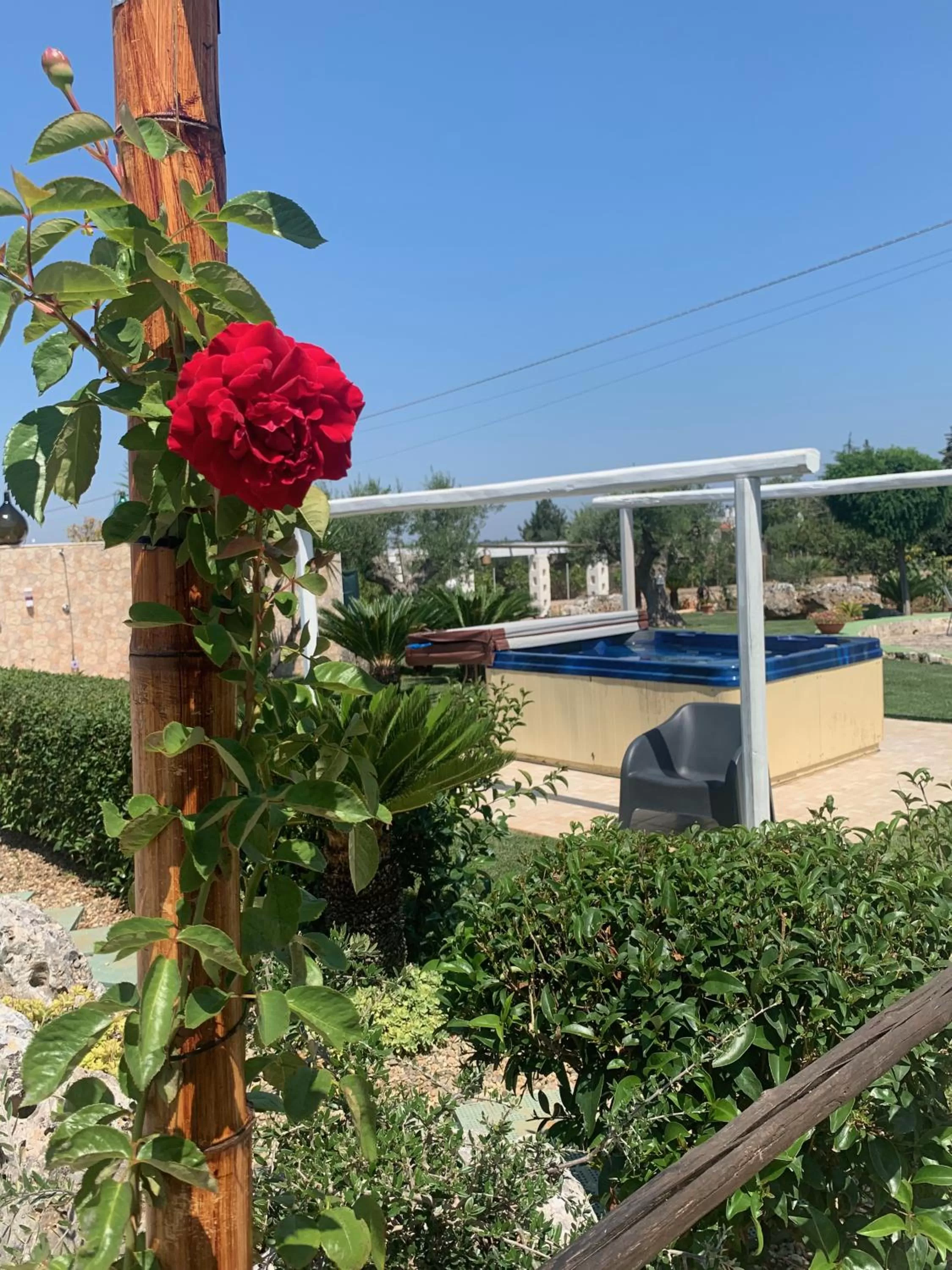 Garden view in B&B Villa Grassi