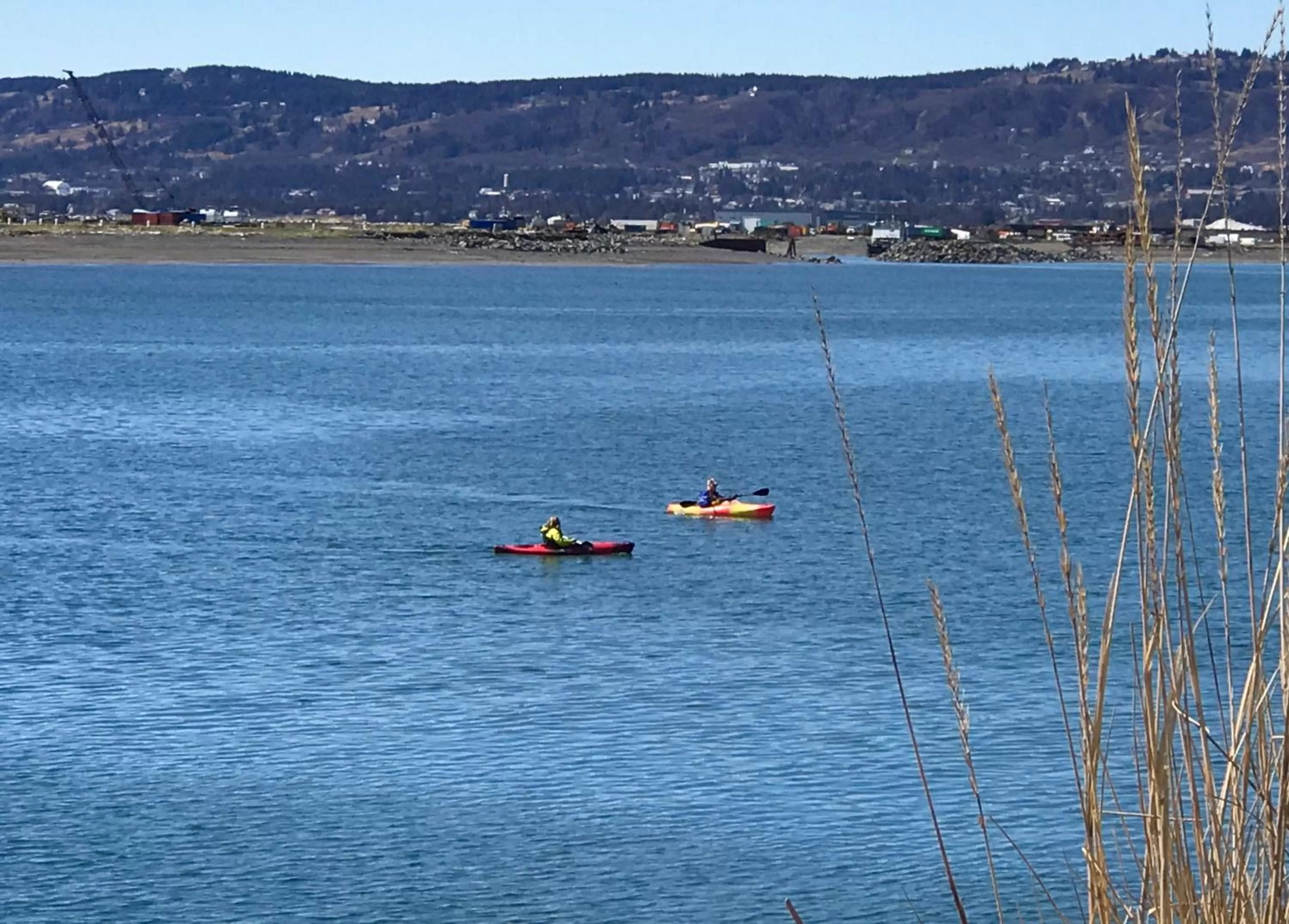 Natural landscape in Halcyon Heights B&B/Inn
