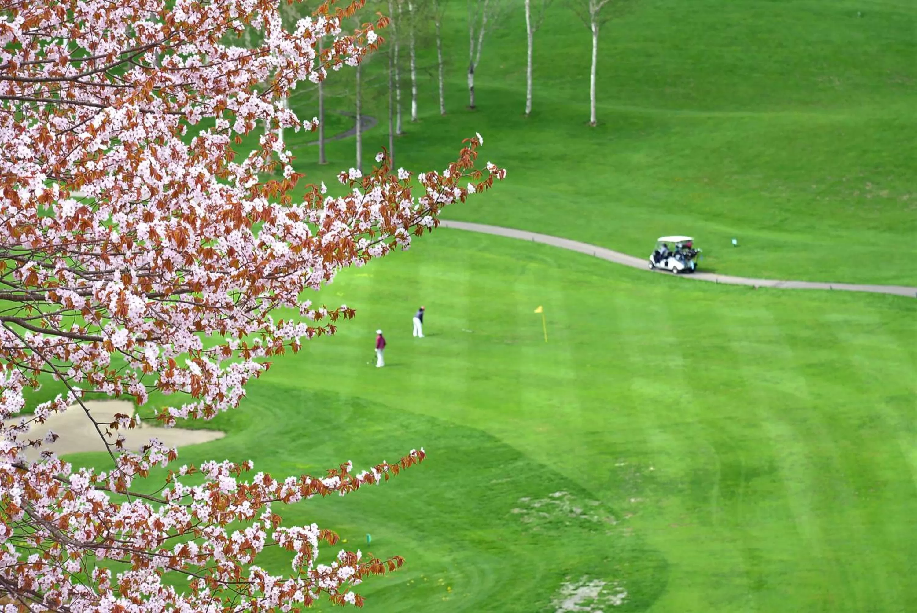 Golfcourse in Hilton Niseko Village