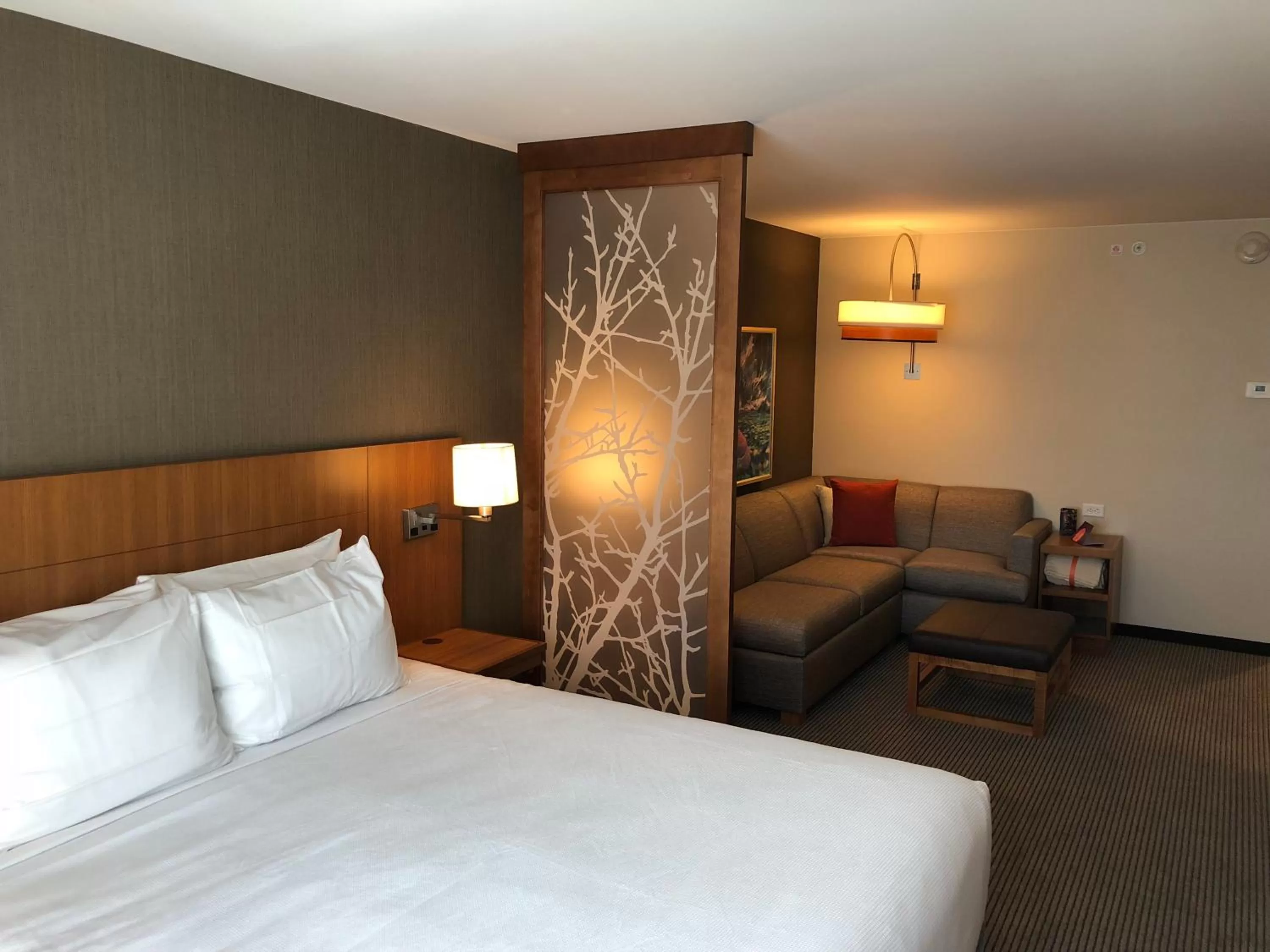 King Room with Sofa Bed in Hyatt Place St George/Convention Center