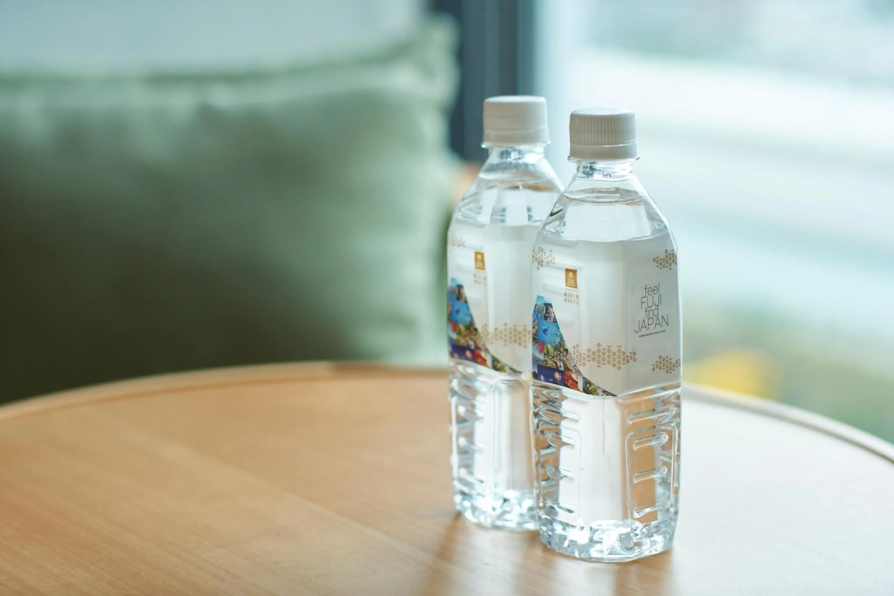 Photo of the whole room in Fujisan Mishima Tokyu Hotel