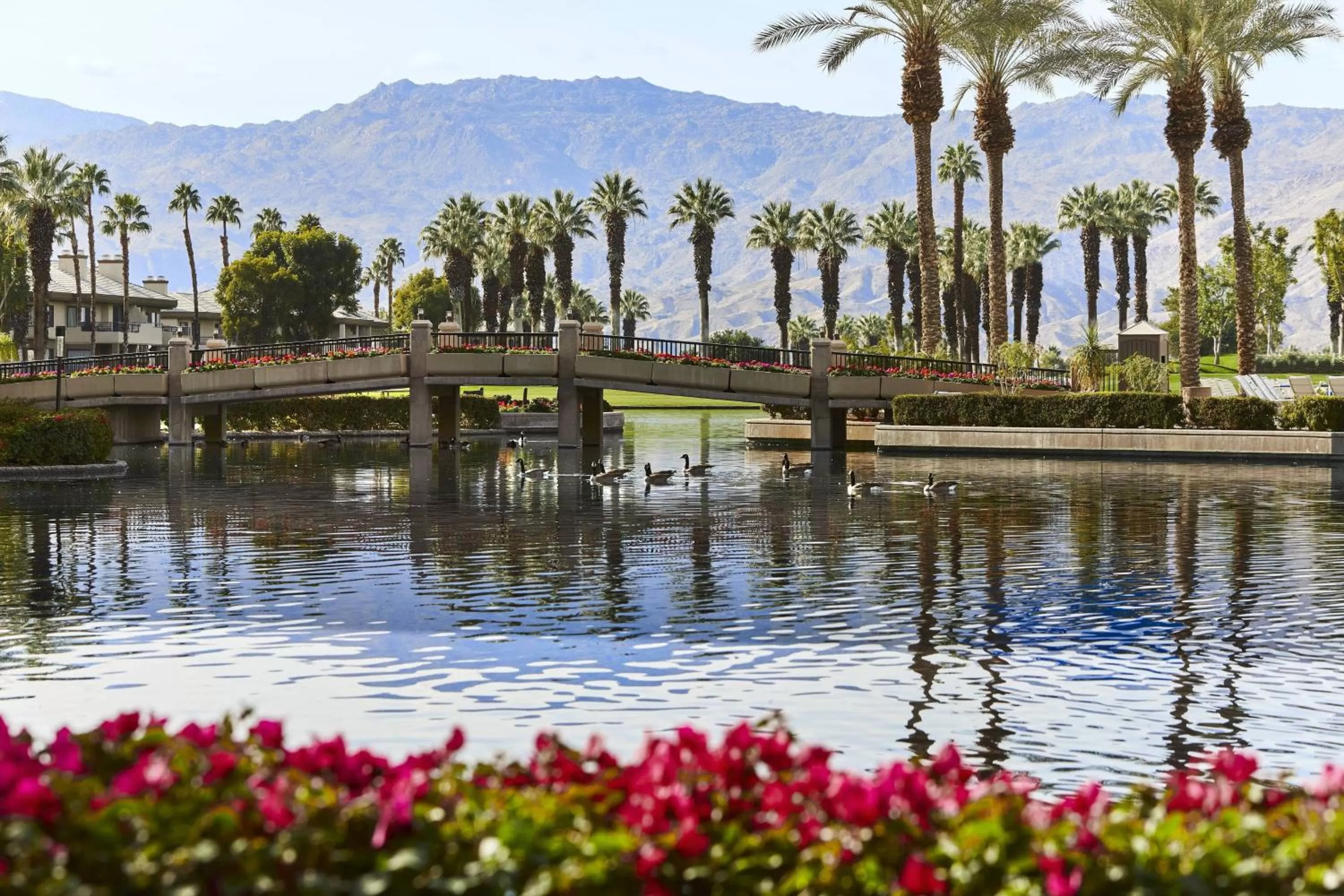 Property building in JW Marriott Desert Springs Resort & Spa