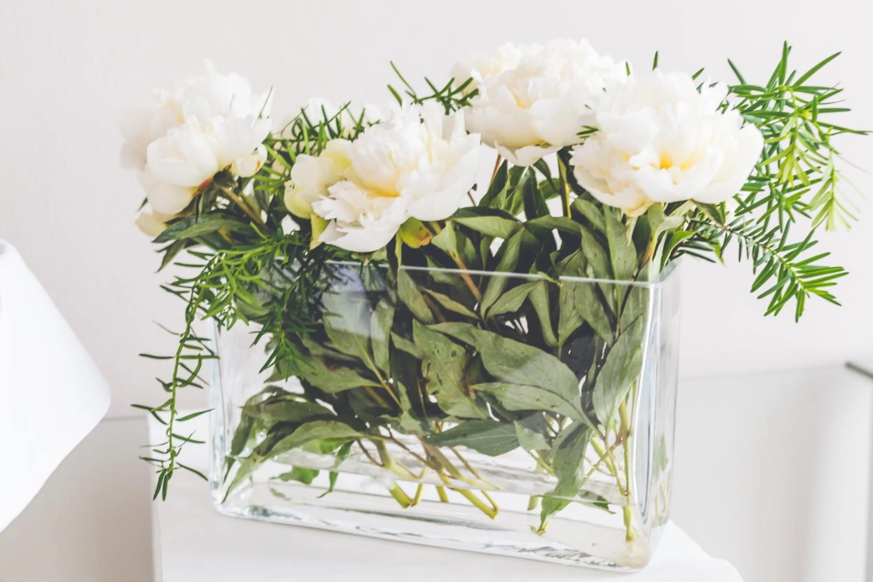 Decorative detail in Hotel Floryan Old Town