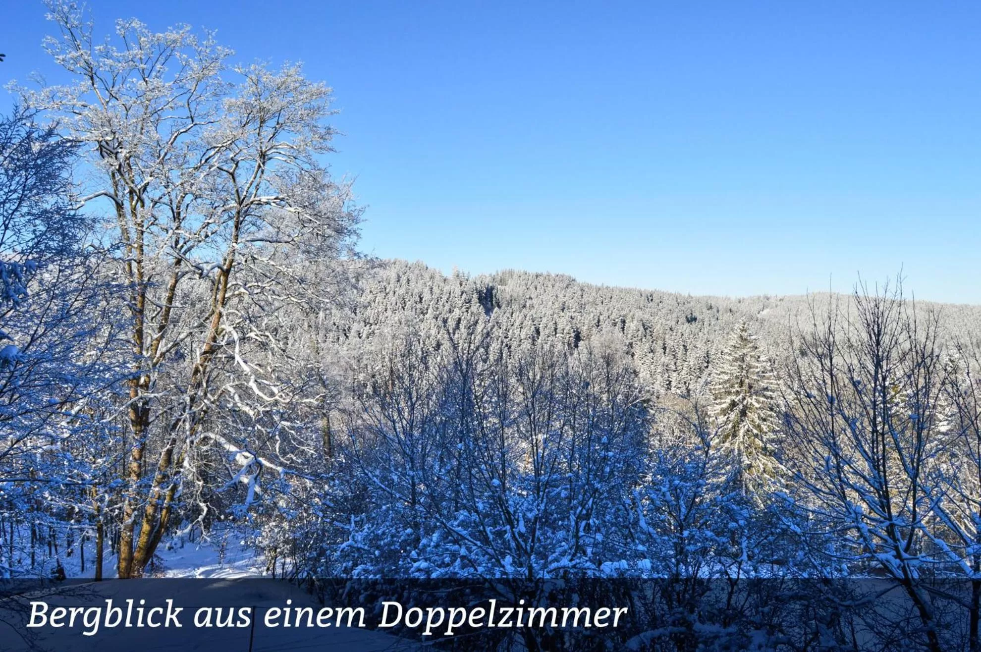 View (from property/room) in Erzgebirgshotel Misnia Bärenfels