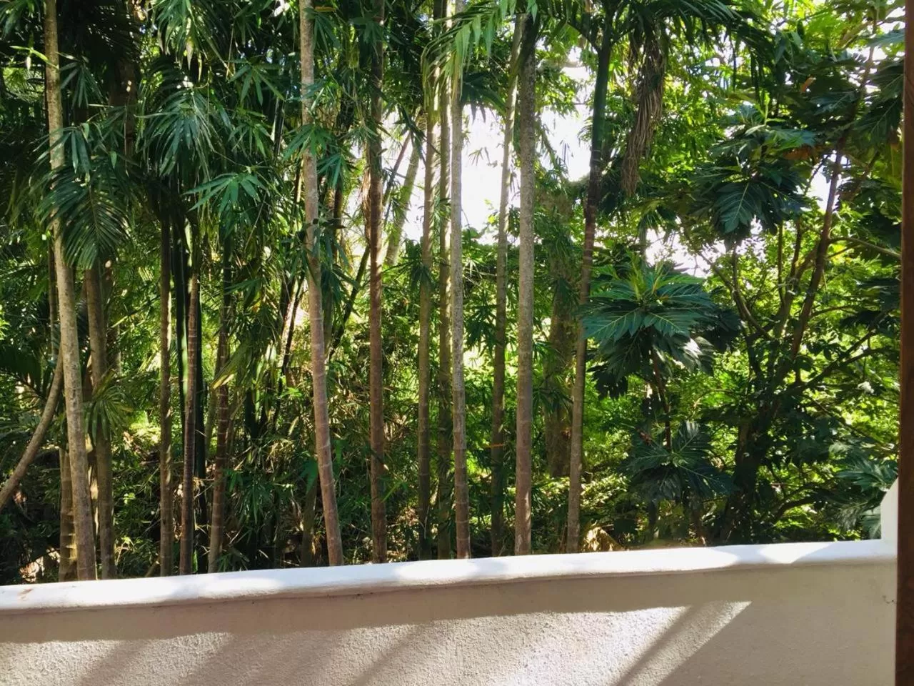 Garden view in Divine Villa