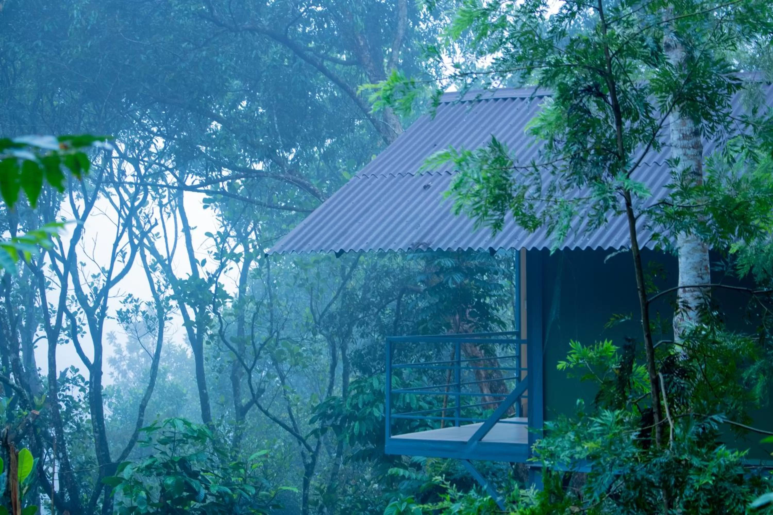 Property building in Edens Munnar