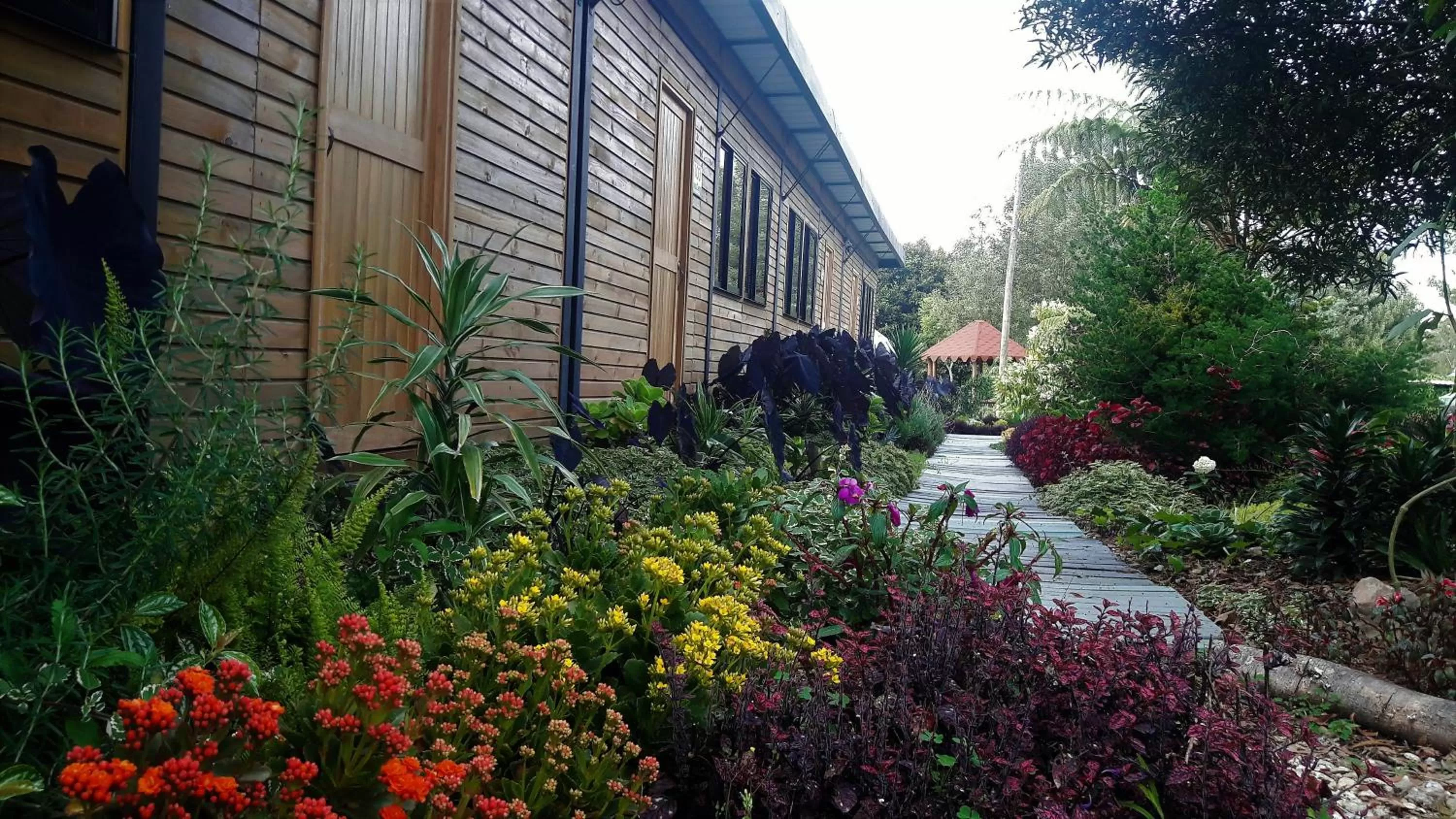 Garden in ALTO LODGING Centro de Entrenamiento Deportivo y Negocios, a 2 pasos del Aeropuerto JMC, Transporte Incluido