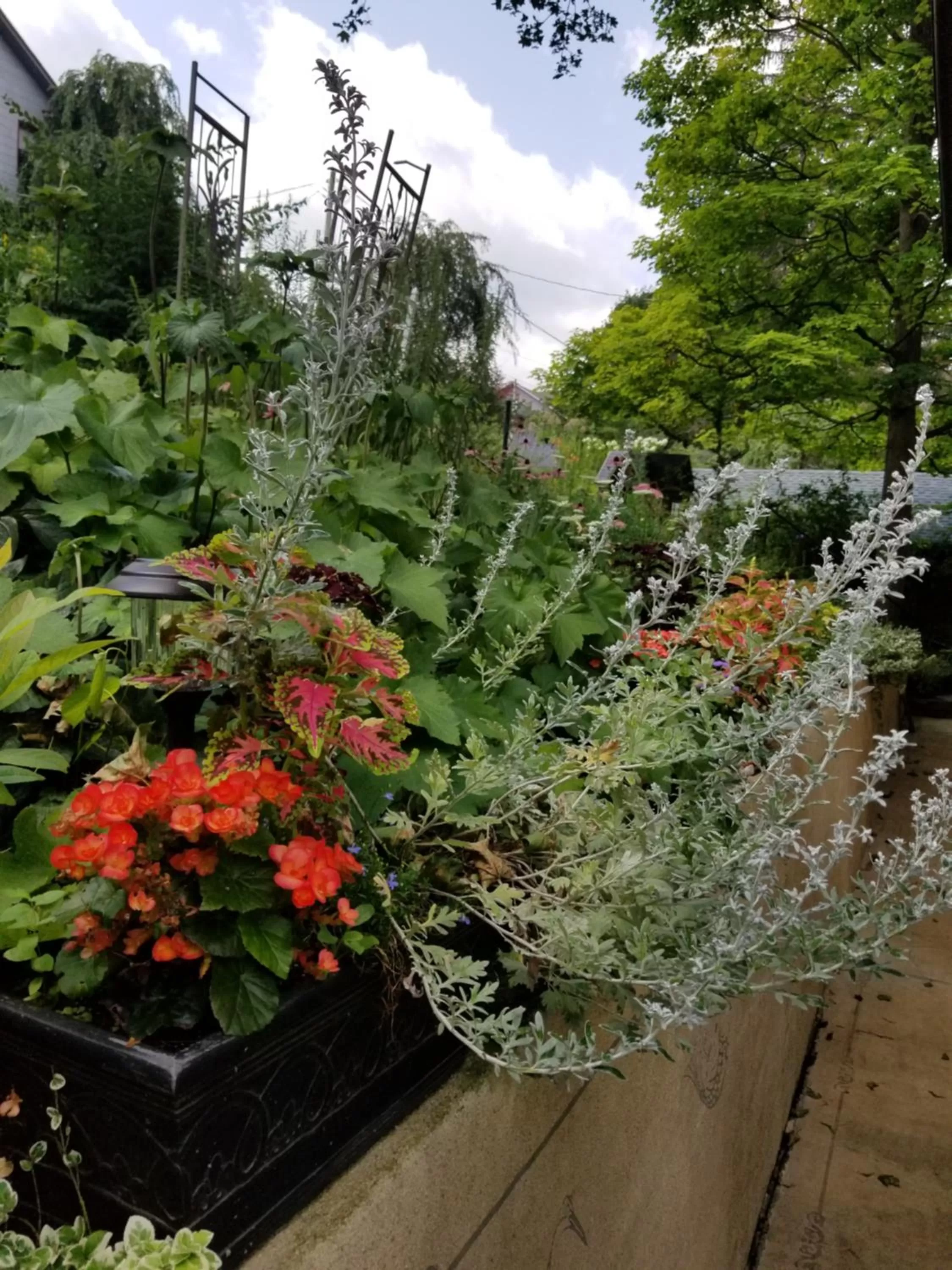 Spring in The Queen, A Victorian Bed & Breakfast