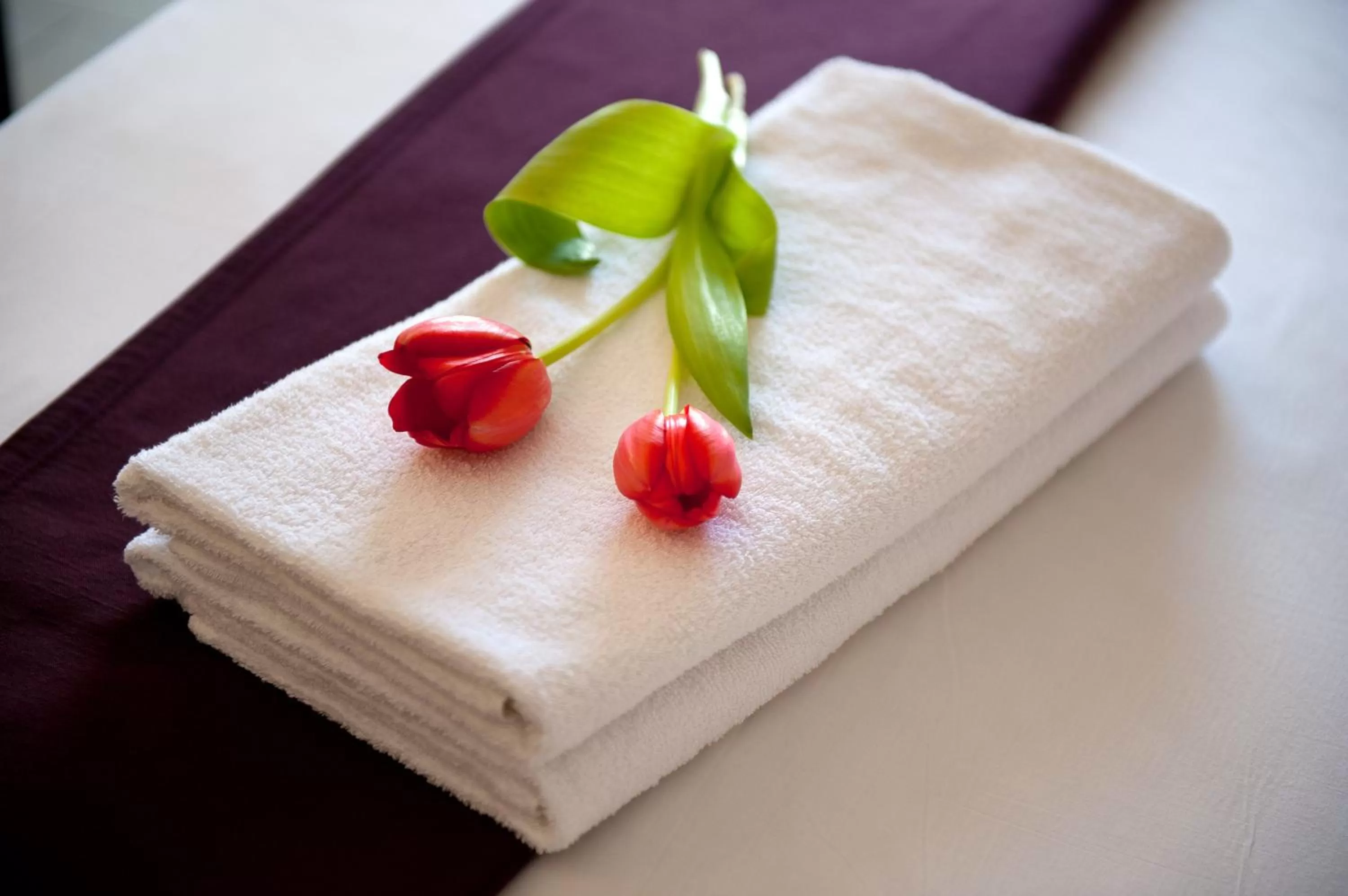 Superior Double or Twin Room - single occupancy in Leonardo Royal Resort Eilat