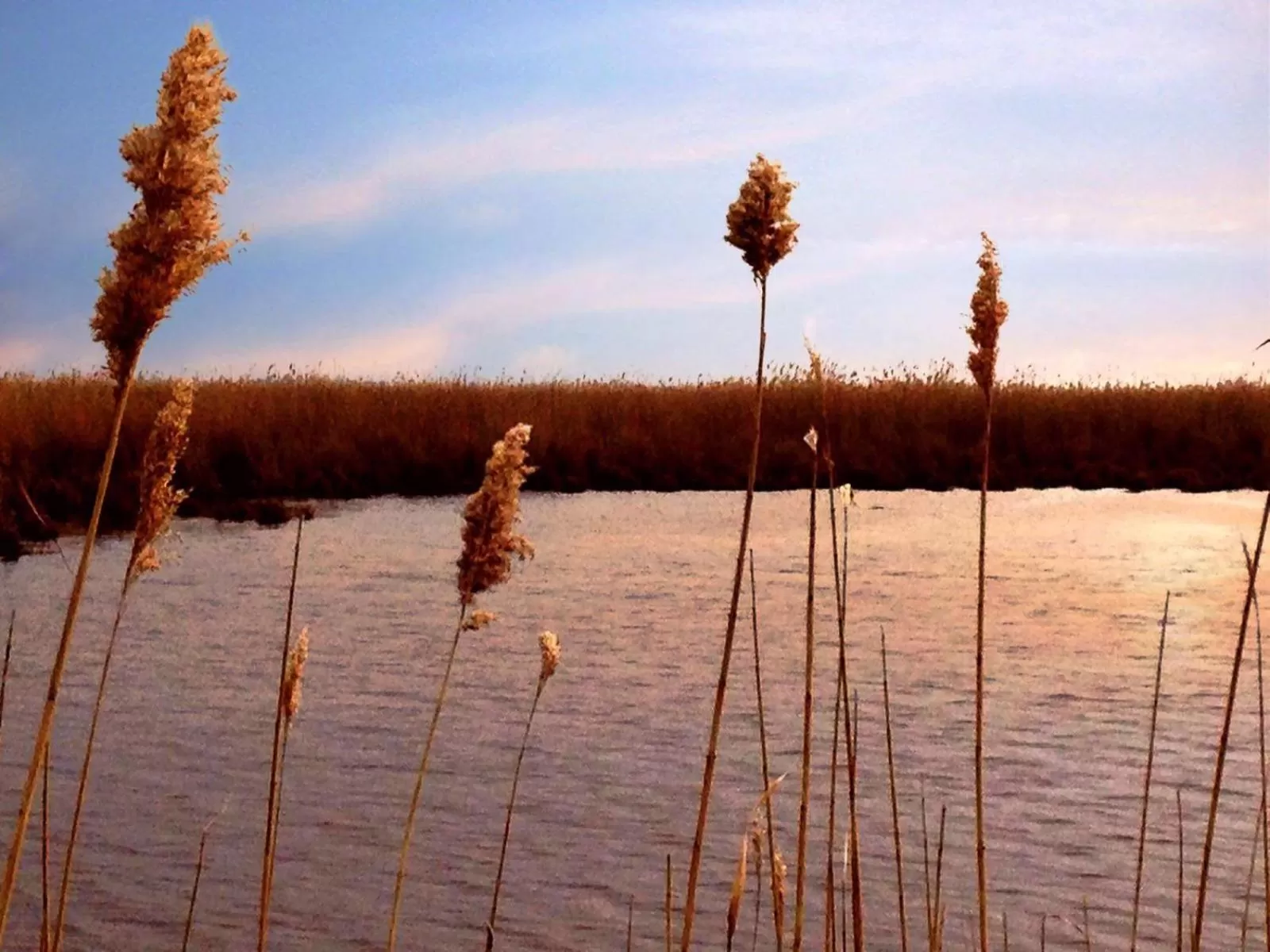 Area and facilities in Hotel Nationalpark