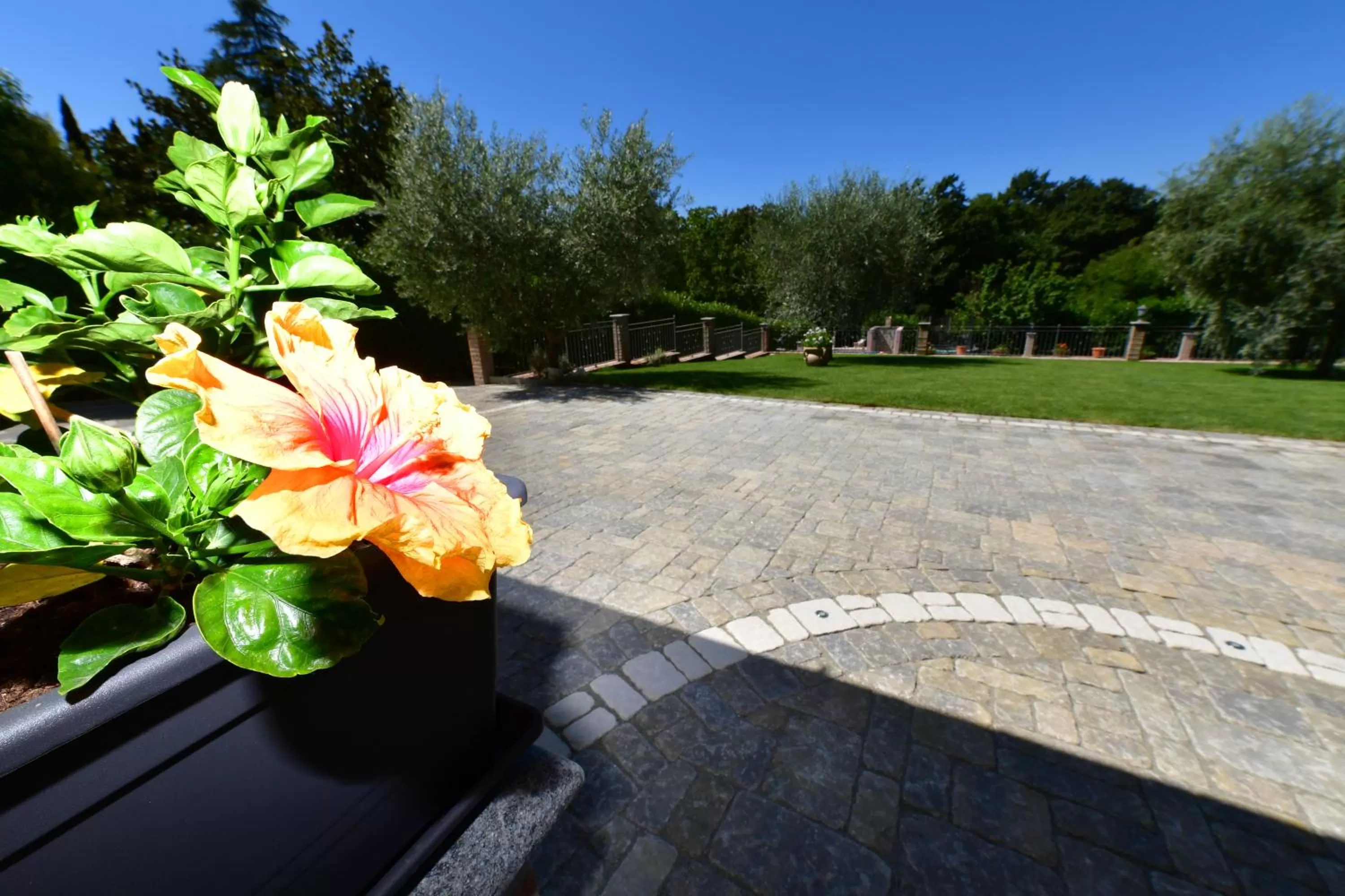 Garden in B&B Roman Country Villa