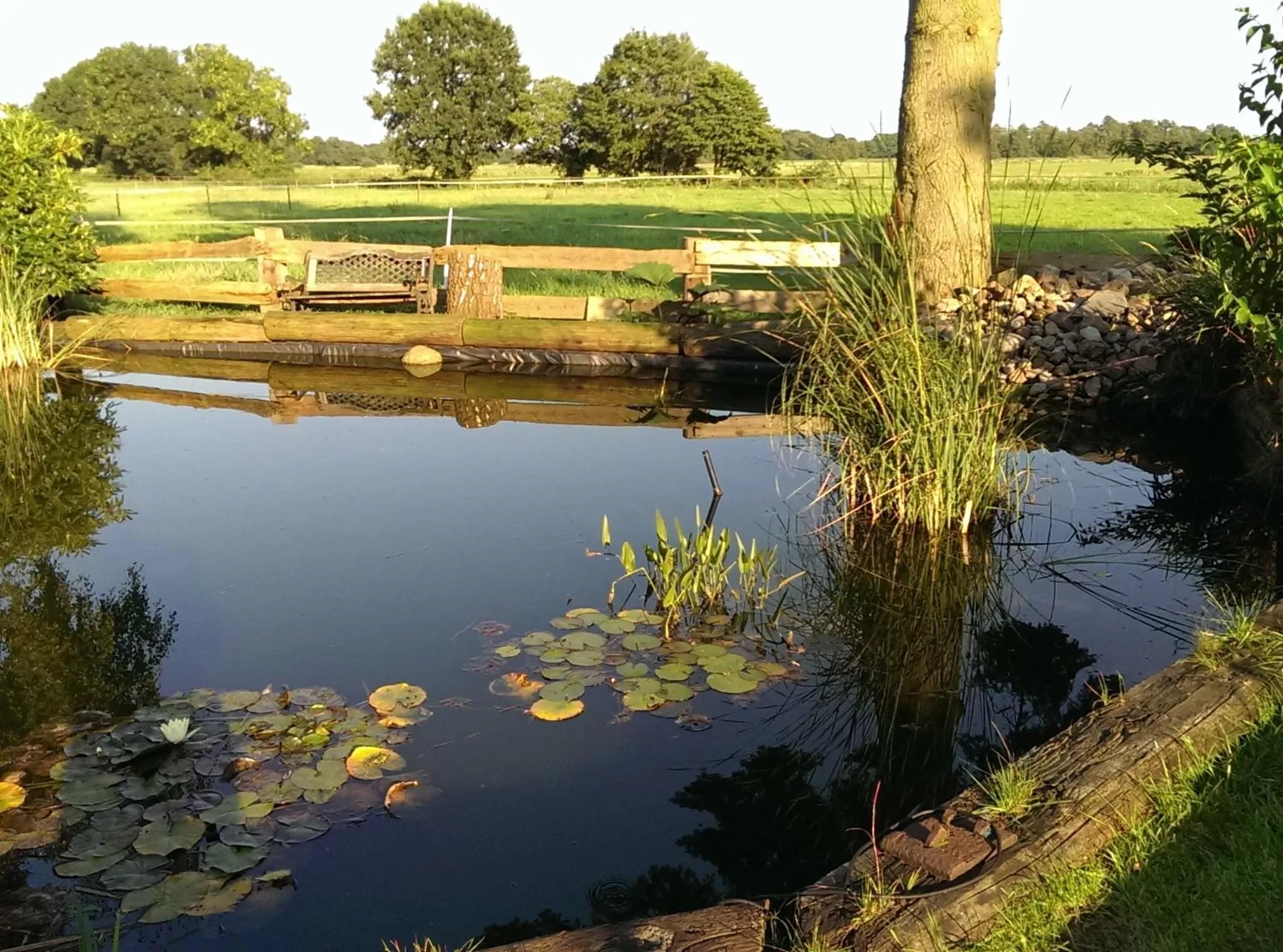 Lake view in B&B Worpsweder Blick