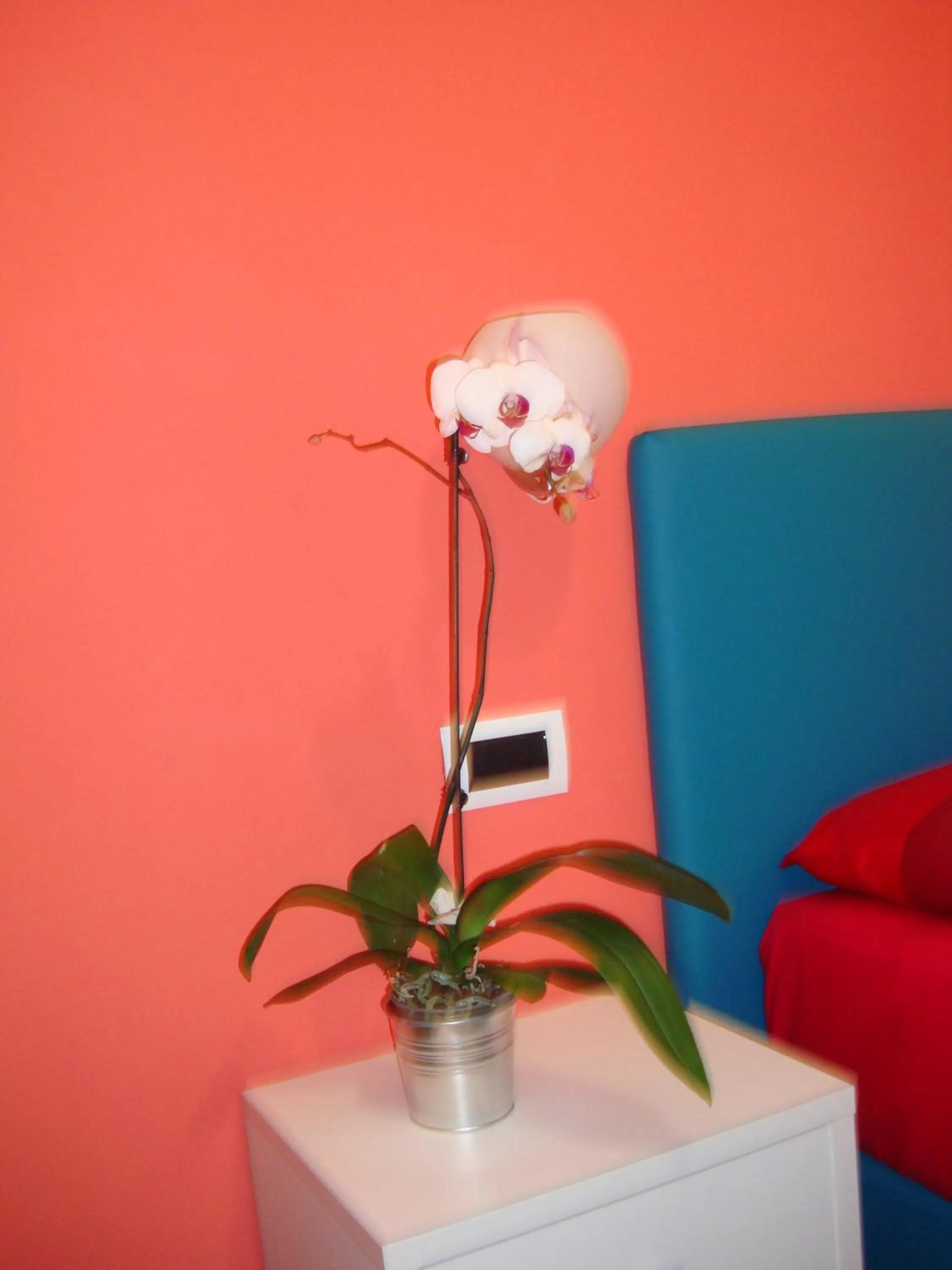 Decorative detail, Dining Area in Bovio Modern Suite