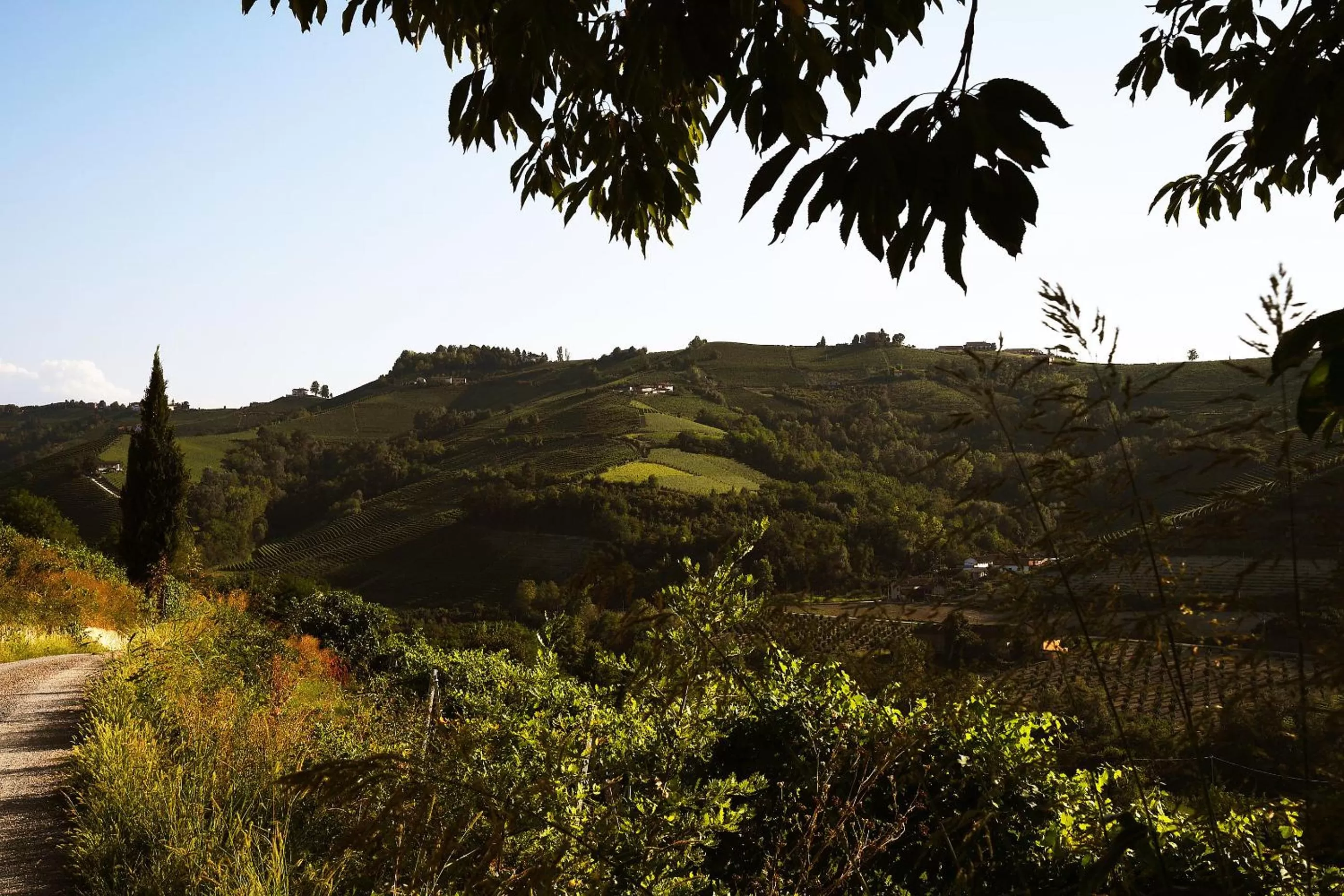 Natural landscape in Panoramic Villa Garassino - country rooms and fine restaurant