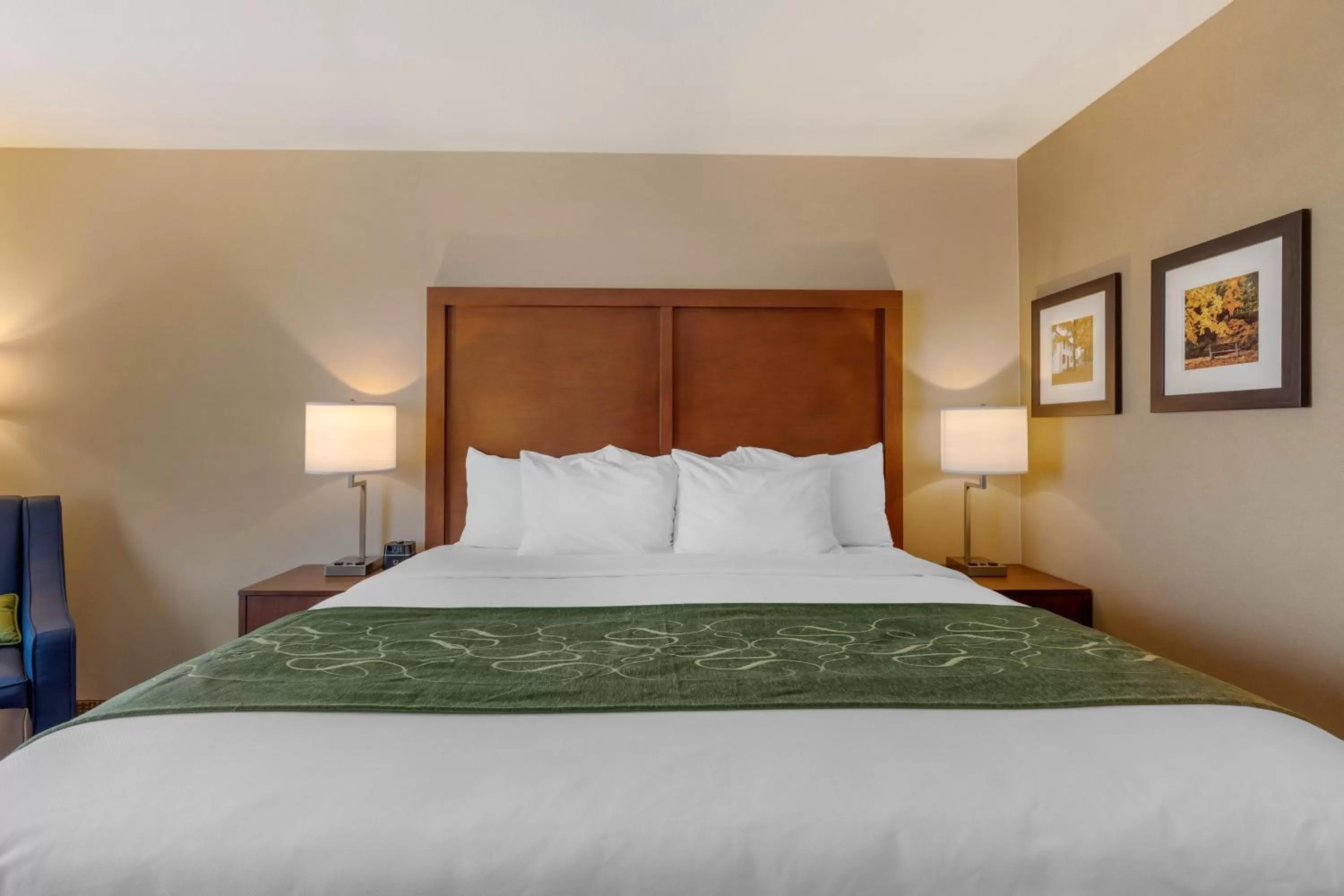 Bed in Comfort Inn & Suites Schenectady - Scotia