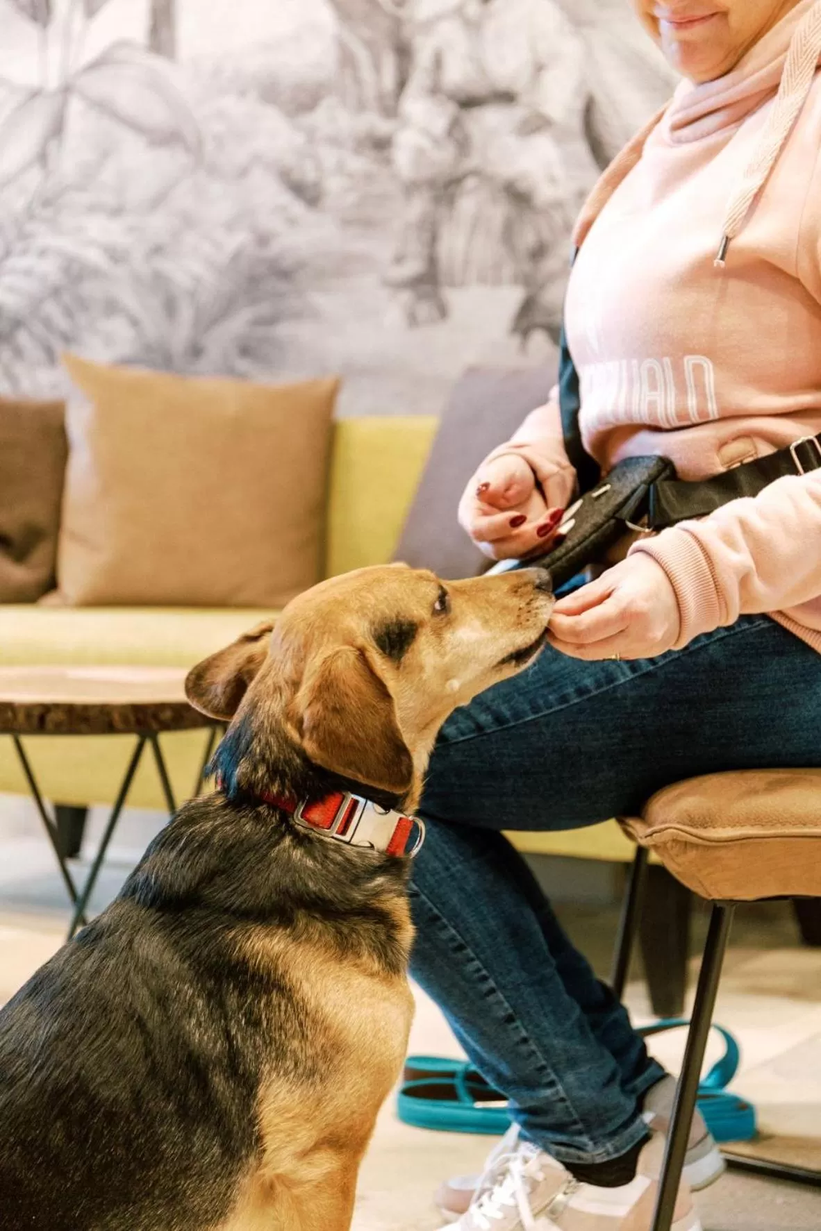 Lobby or reception in Hotel am Zoo