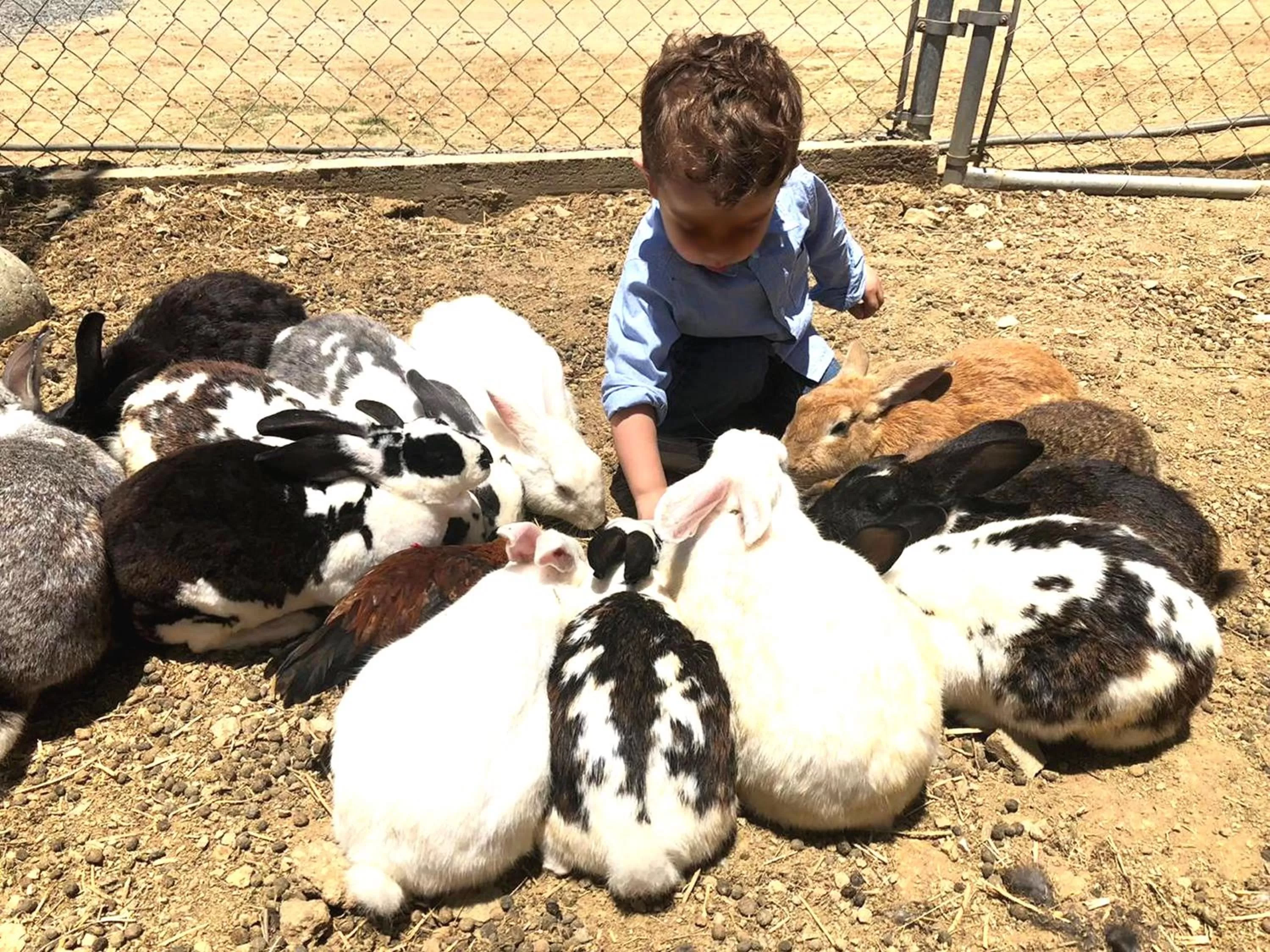 Activities in Puerto Nuevo Baja Hotel & Villas