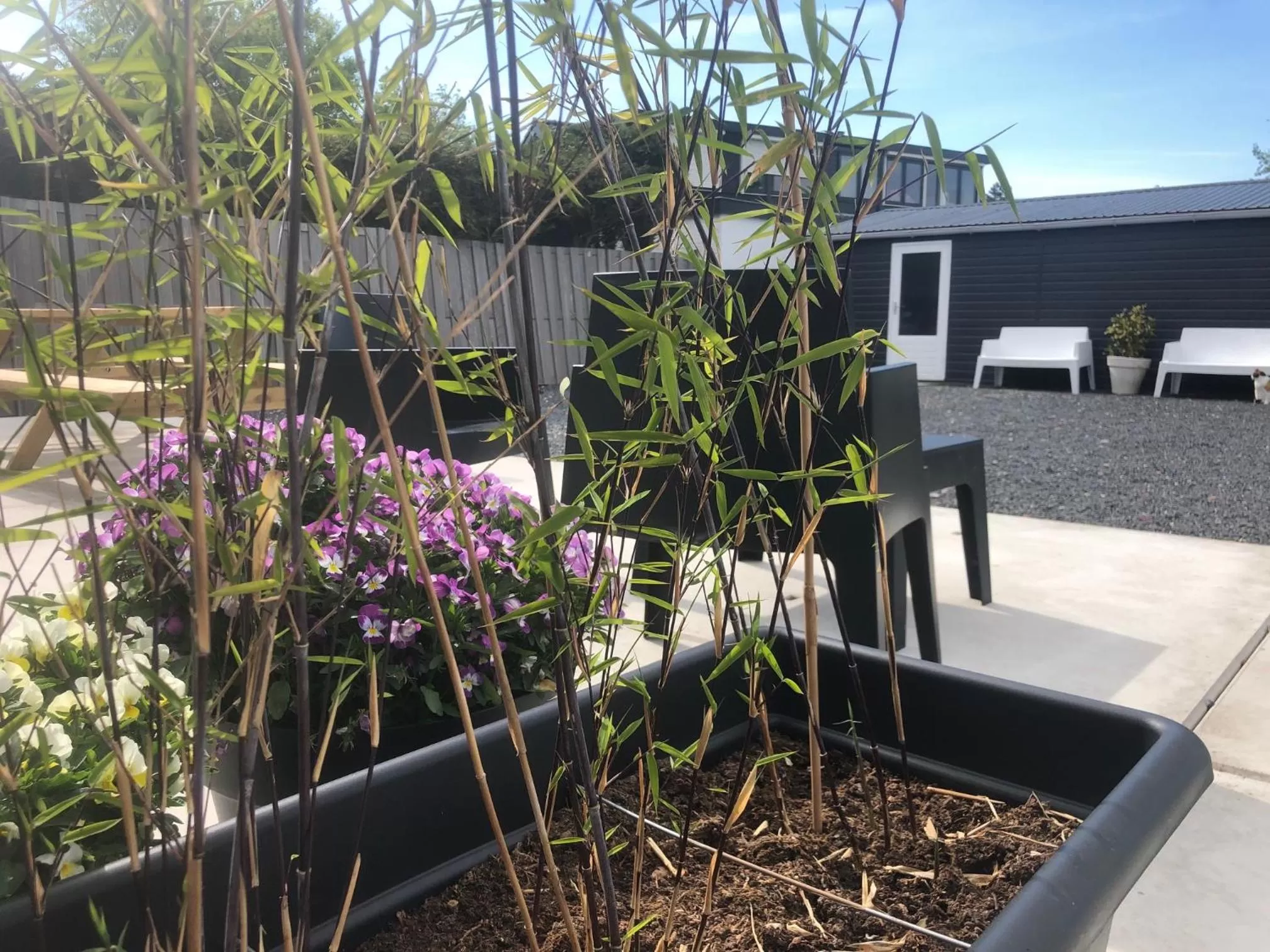 Balcony/Terrace in BnB Purmerland
