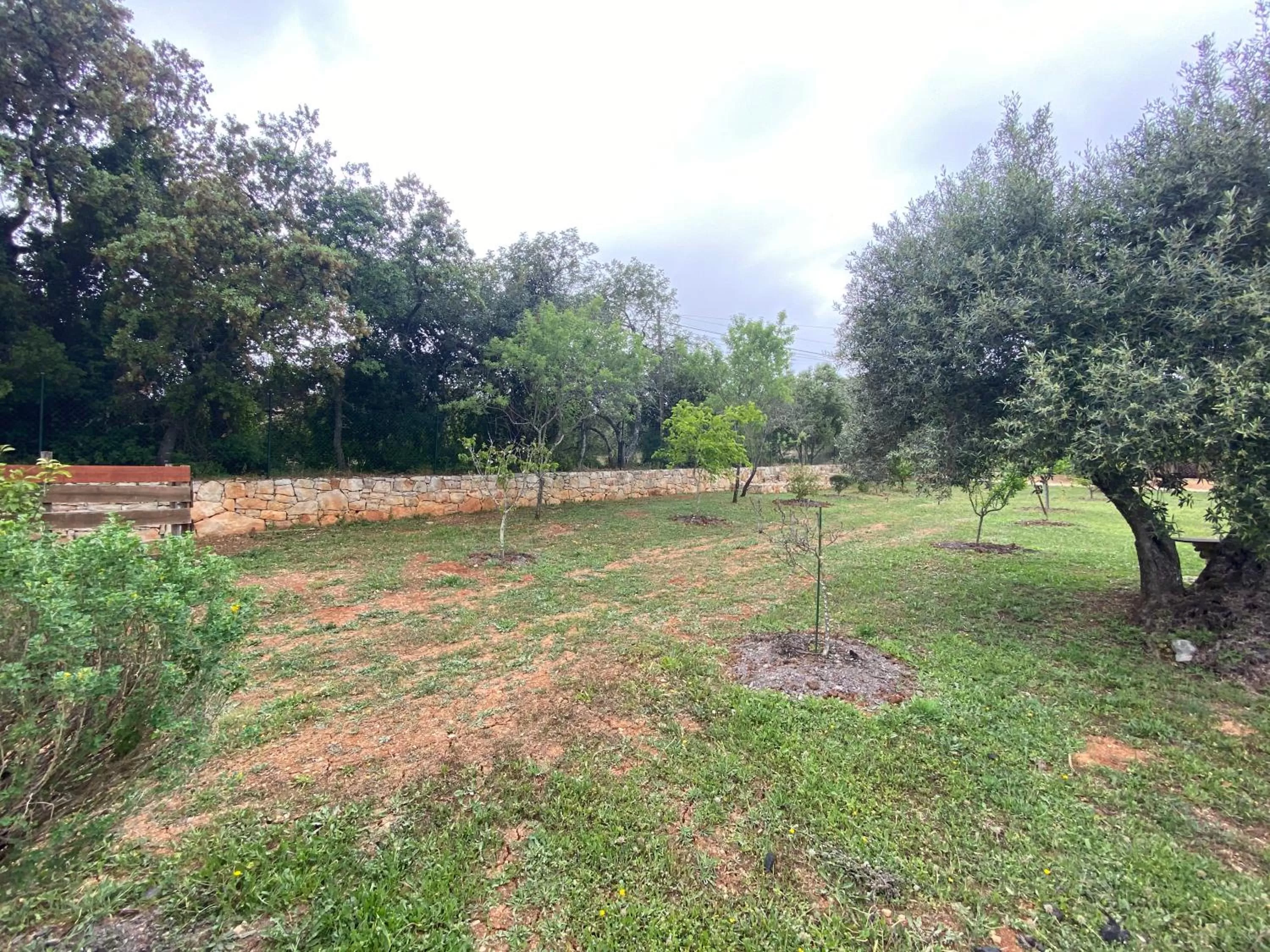 Garden in Adamah Vayu -Casa Serenida