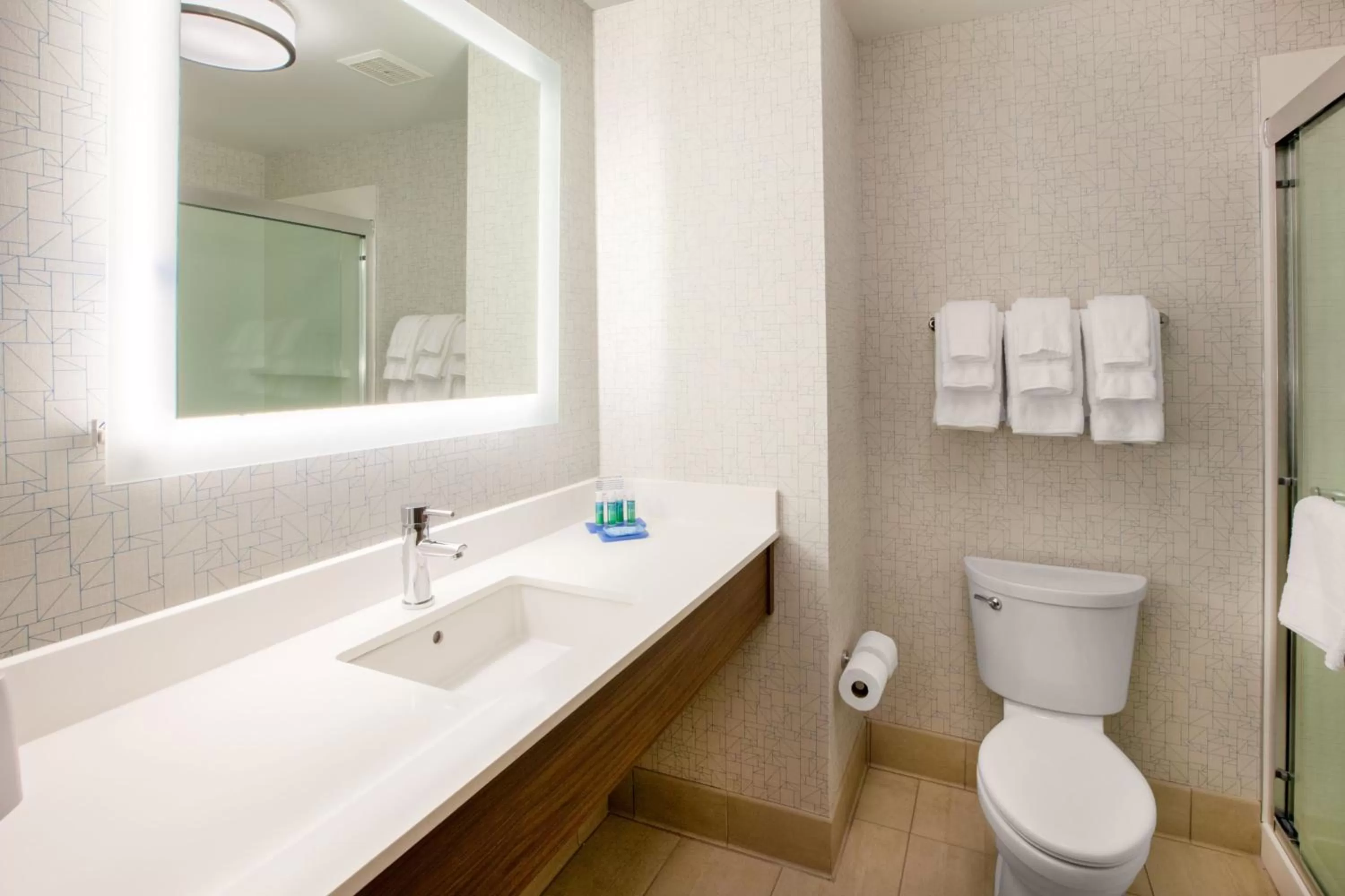 Bathroom in Holiday Inn Express Hotel & Suites Maryville by IHG