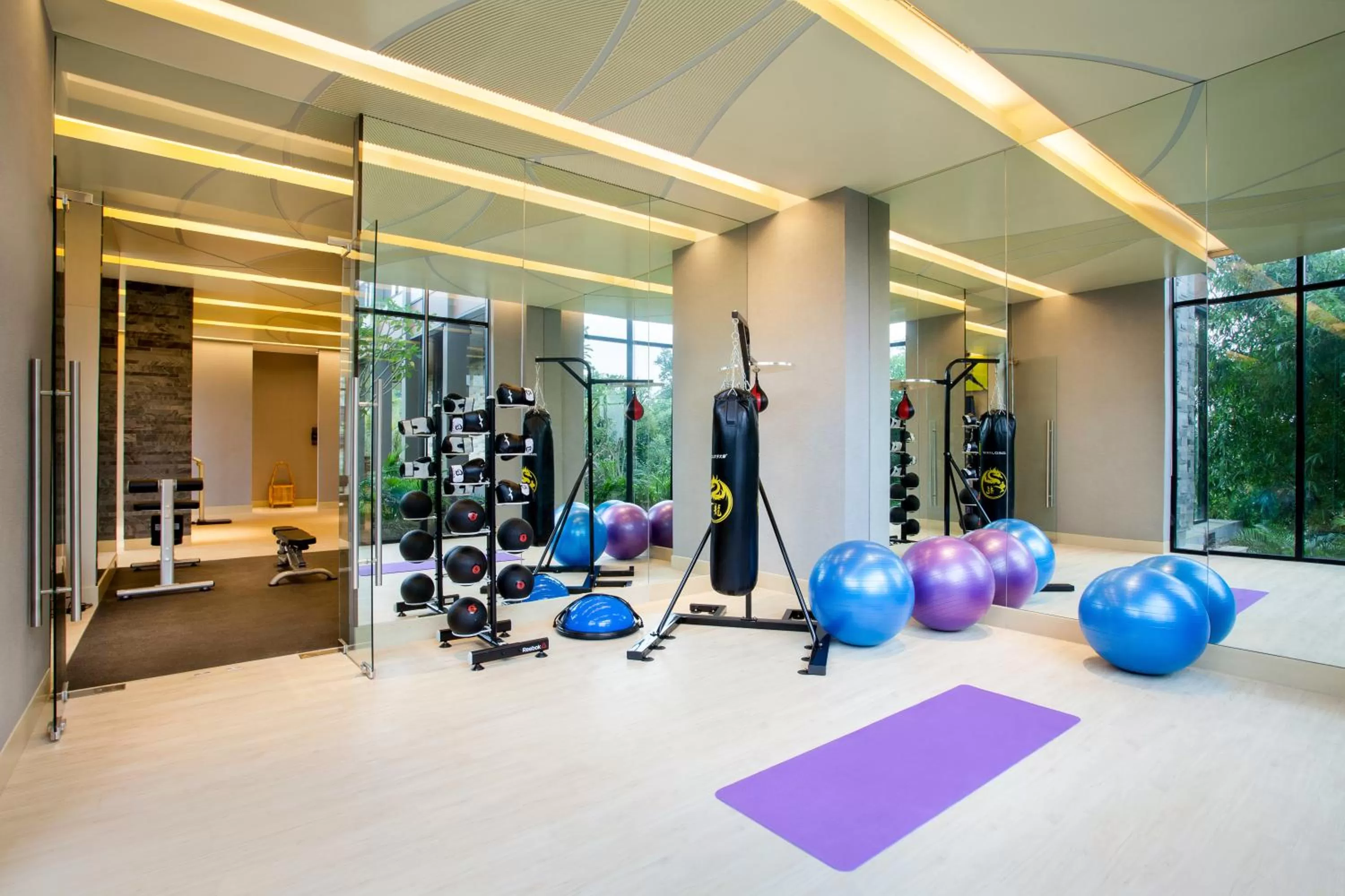 Fitness centre/facilities in Pullman Ciawi Vimala Hills Resort