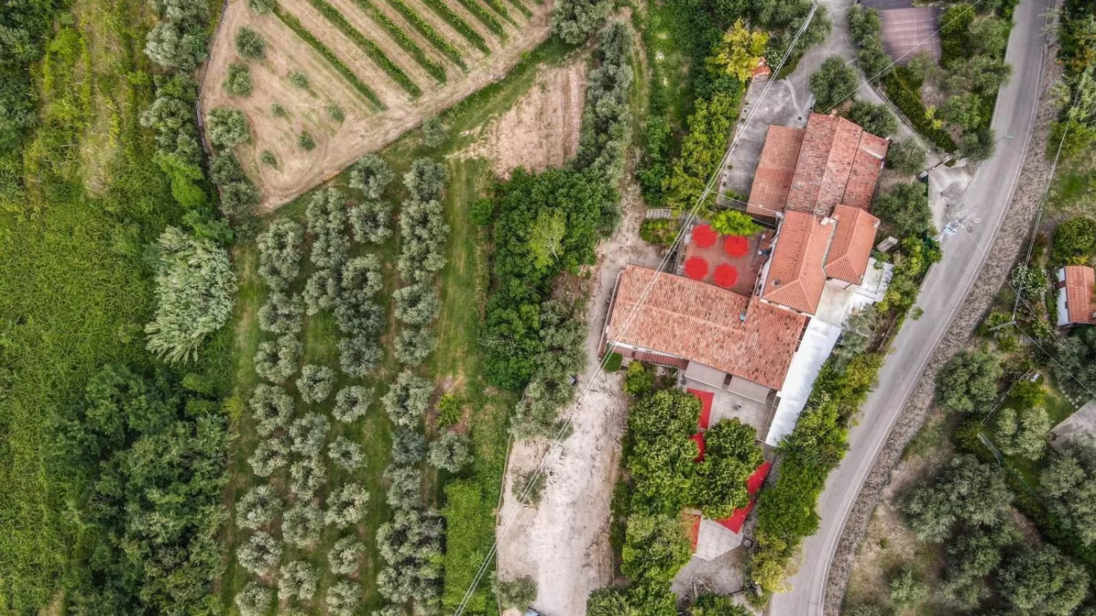 Bird's eye view, Bird's-eye View in Tavern di Arqua'