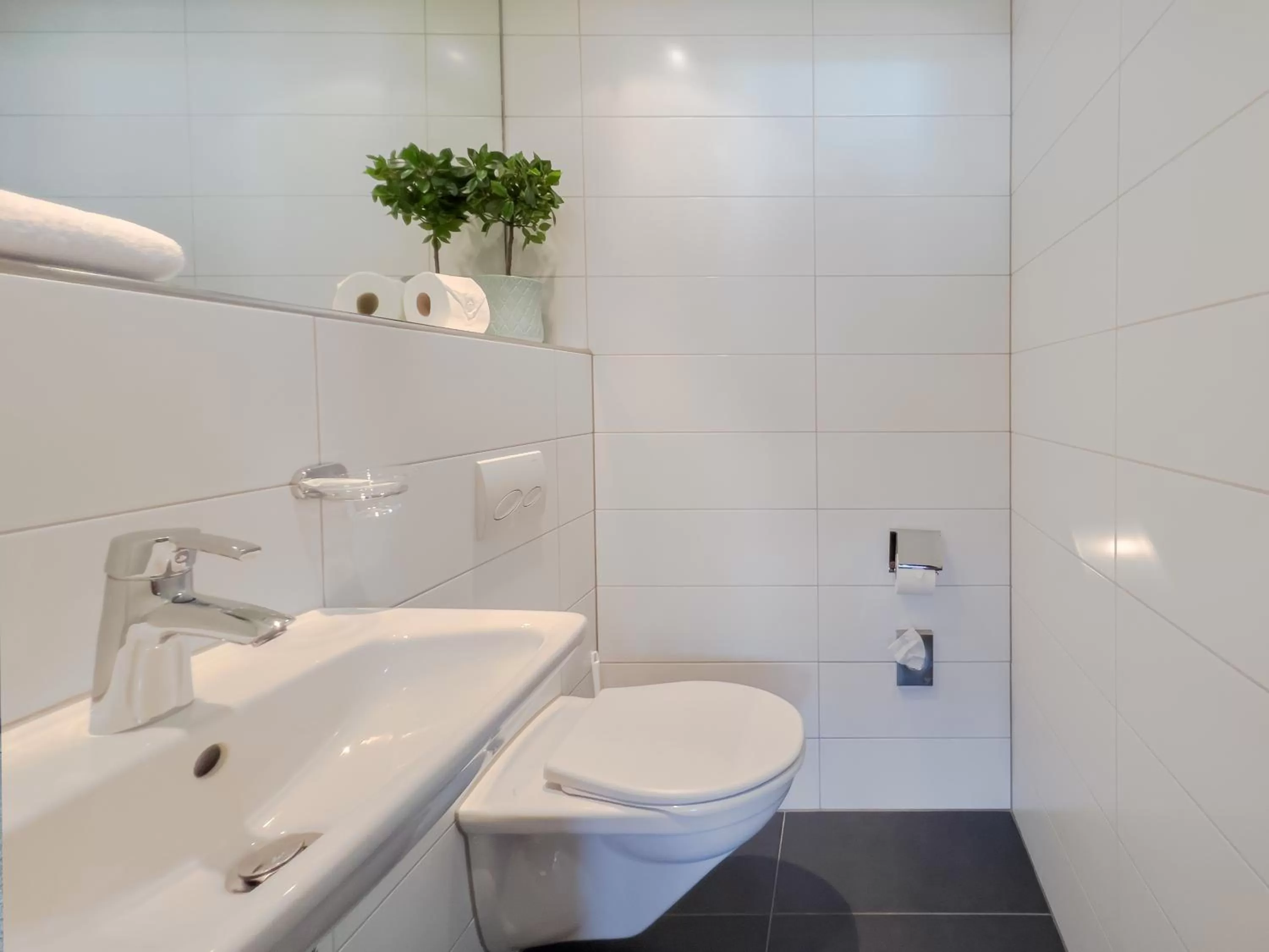 Toilet in Hotel Rothaus Luzern & Peruvian Culinary Art