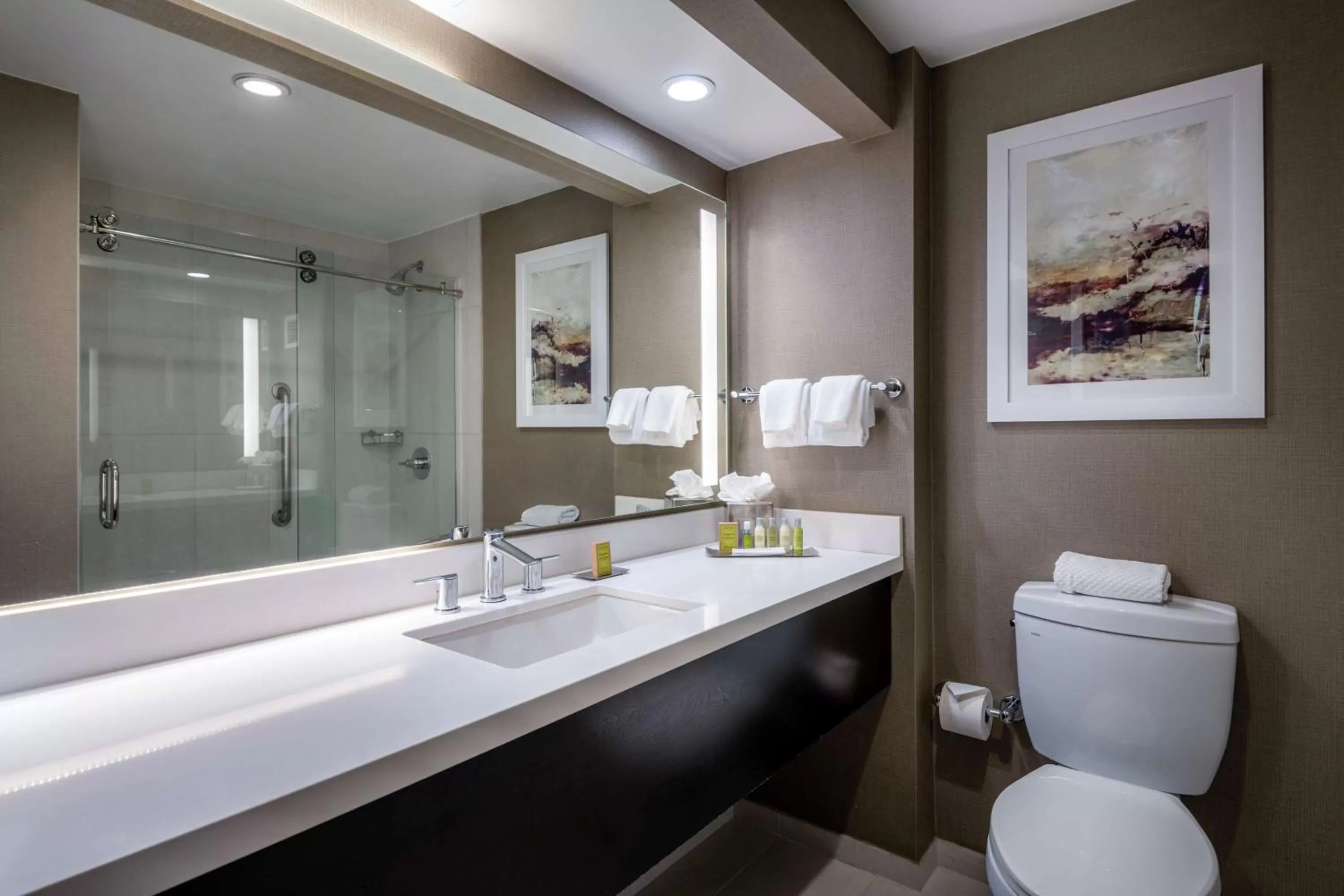 Bathroom in DoubleTree by Hilton Los Angeles Norwalk