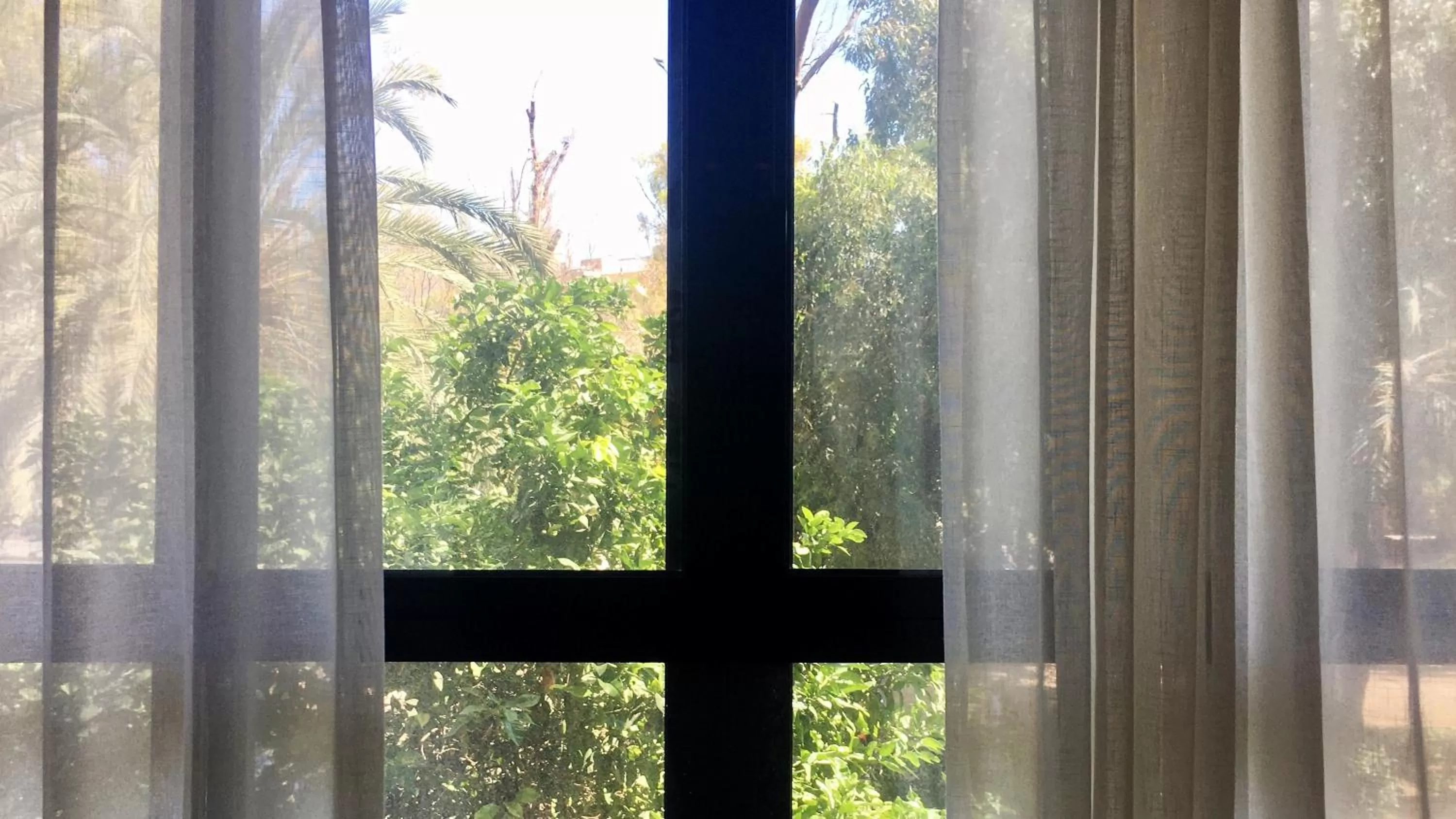 Property building in MD Modern Hotel - Jardines