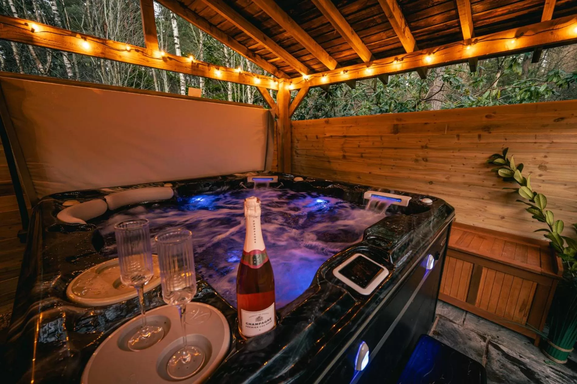 Hot Tub in White Rose Tower