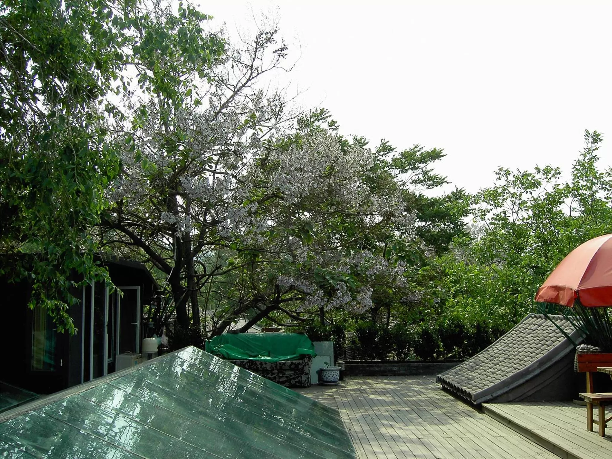 Balcony/Terrace in Kelly‘s Courtyard Hotel