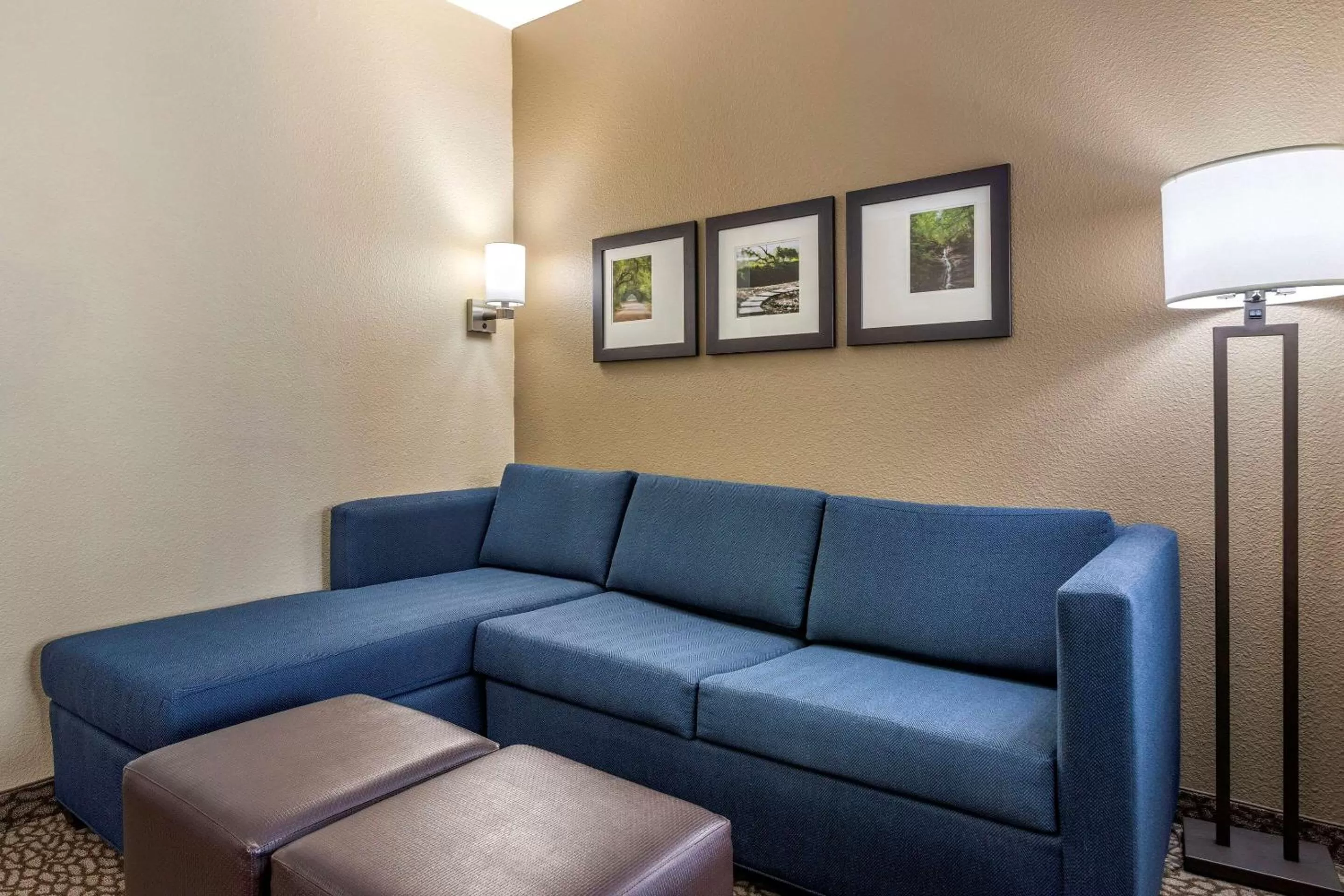 Living room in Comfort Suites Florence I-95