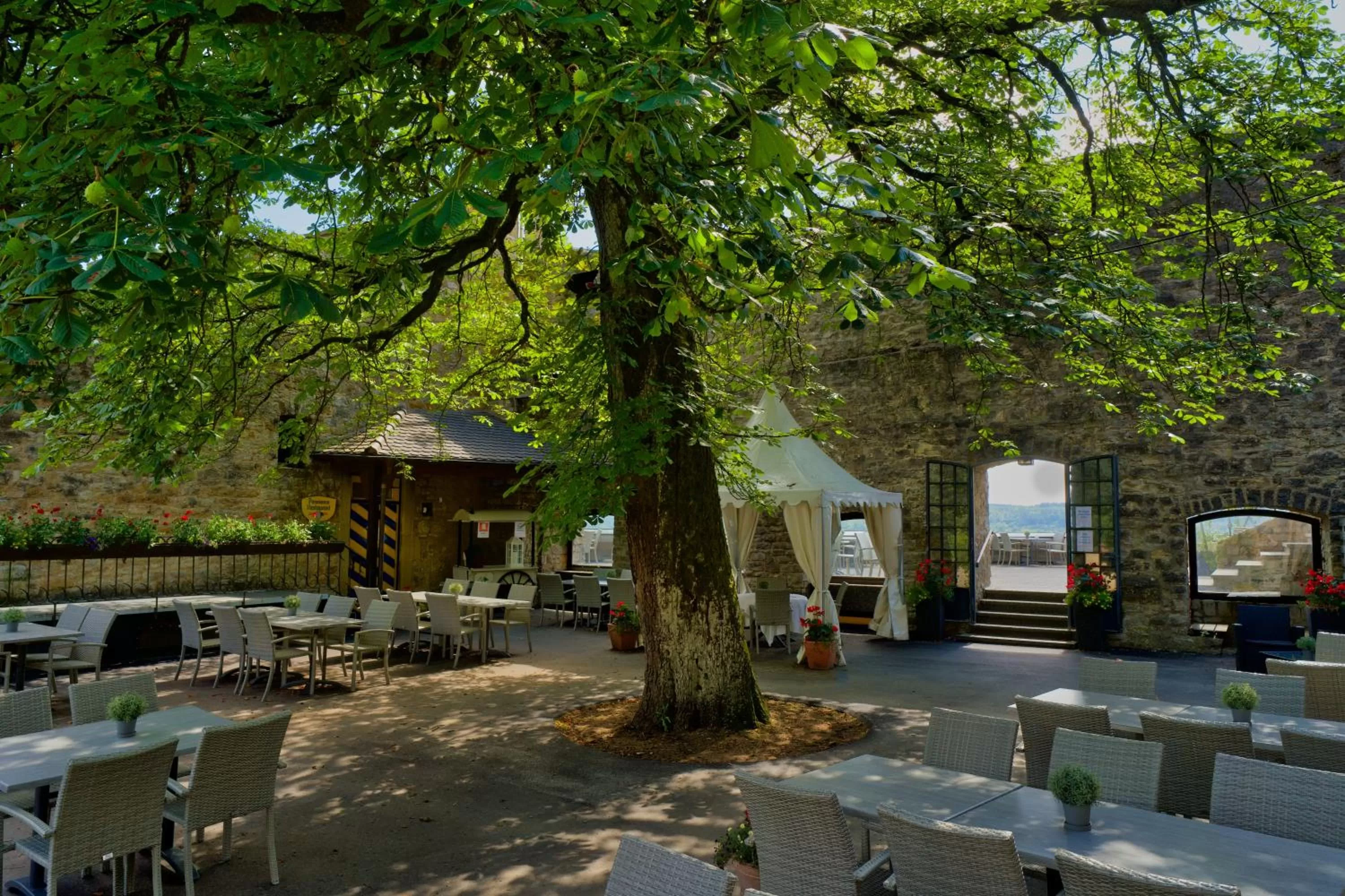 Restaurant/places to eat in Hotel-Restaurant Burg Hornberg