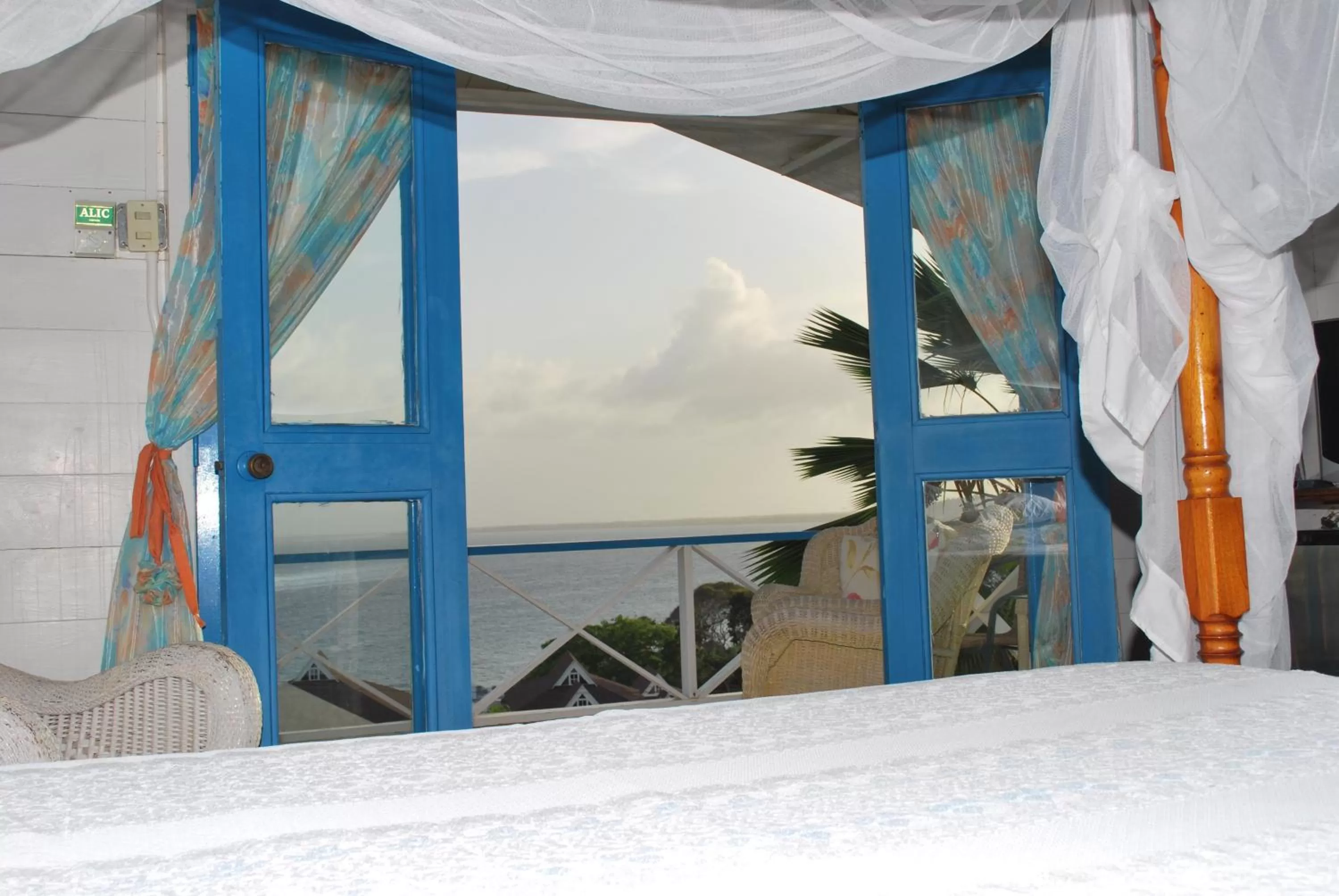 Day, Bed in Half Moon Blue Hotel