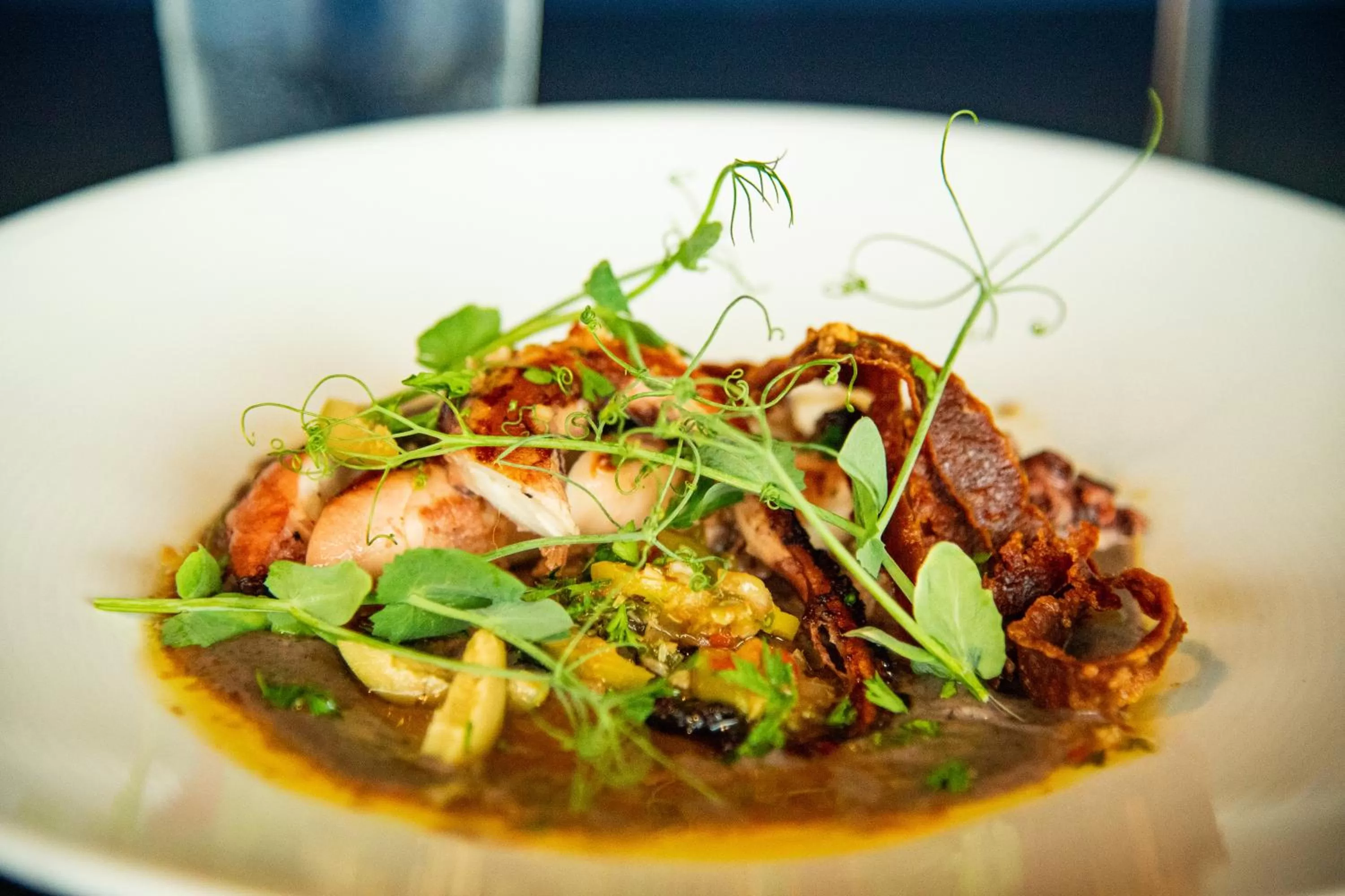 Restaurant/places to eat in Cambria Hotel Downtown Asheville