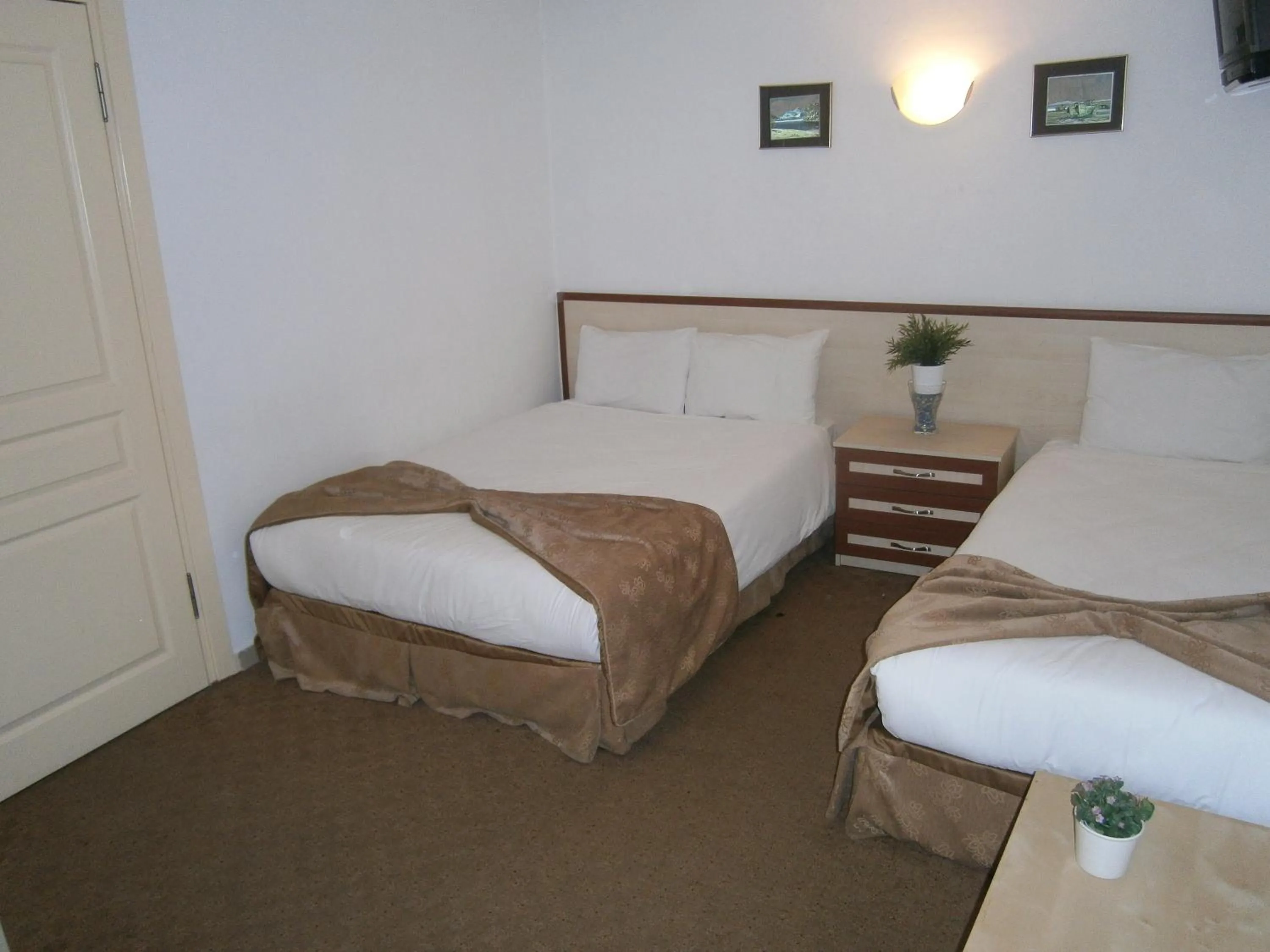 Photo of the whole room, Bed in Hotel Nova