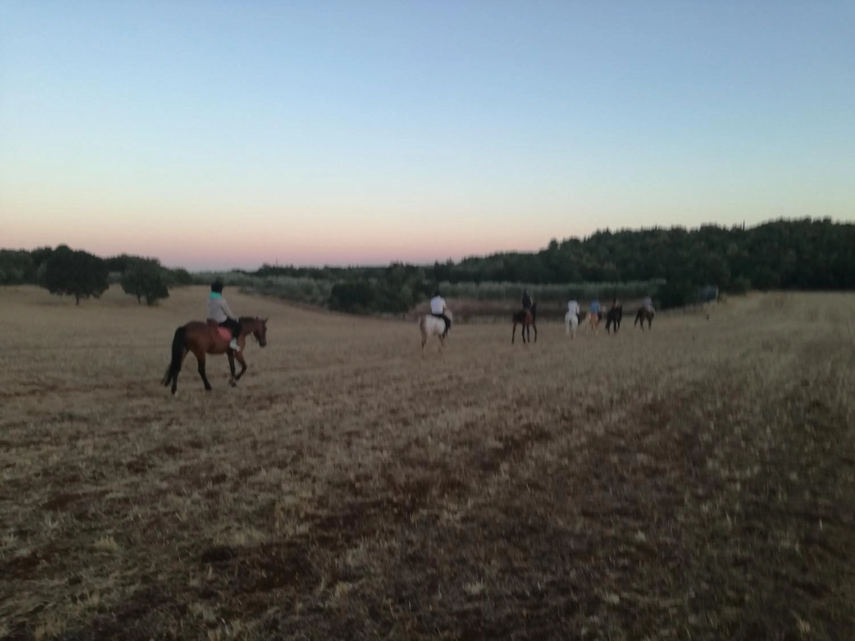 Horse-riding in Agriturismo Fasano