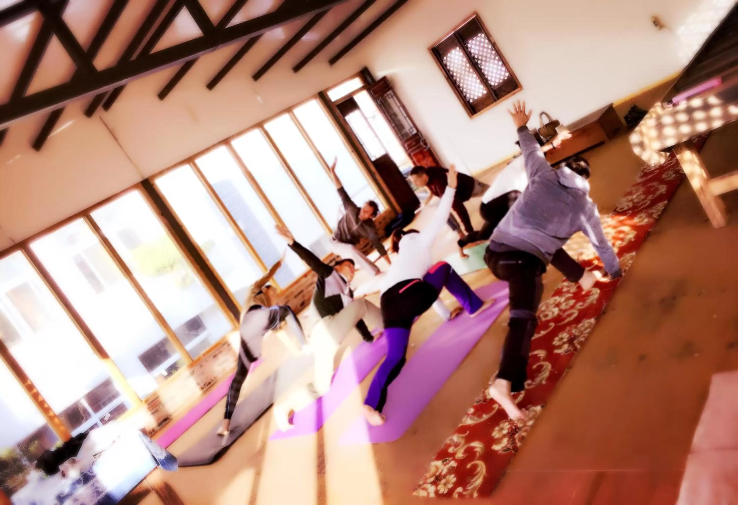 Activities in The Lily Pad Inn