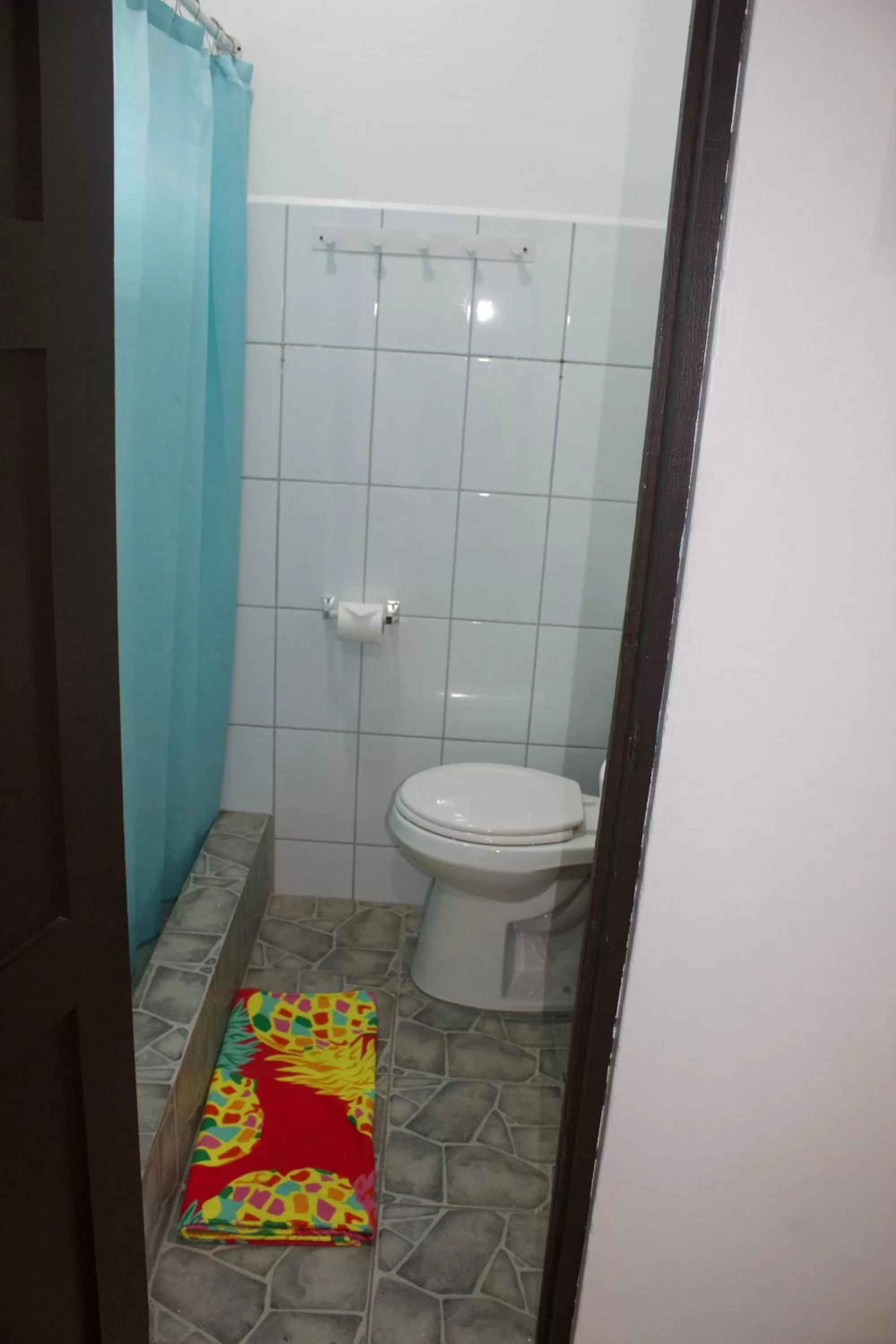 Shower, Bathroom in Hotel Cañas