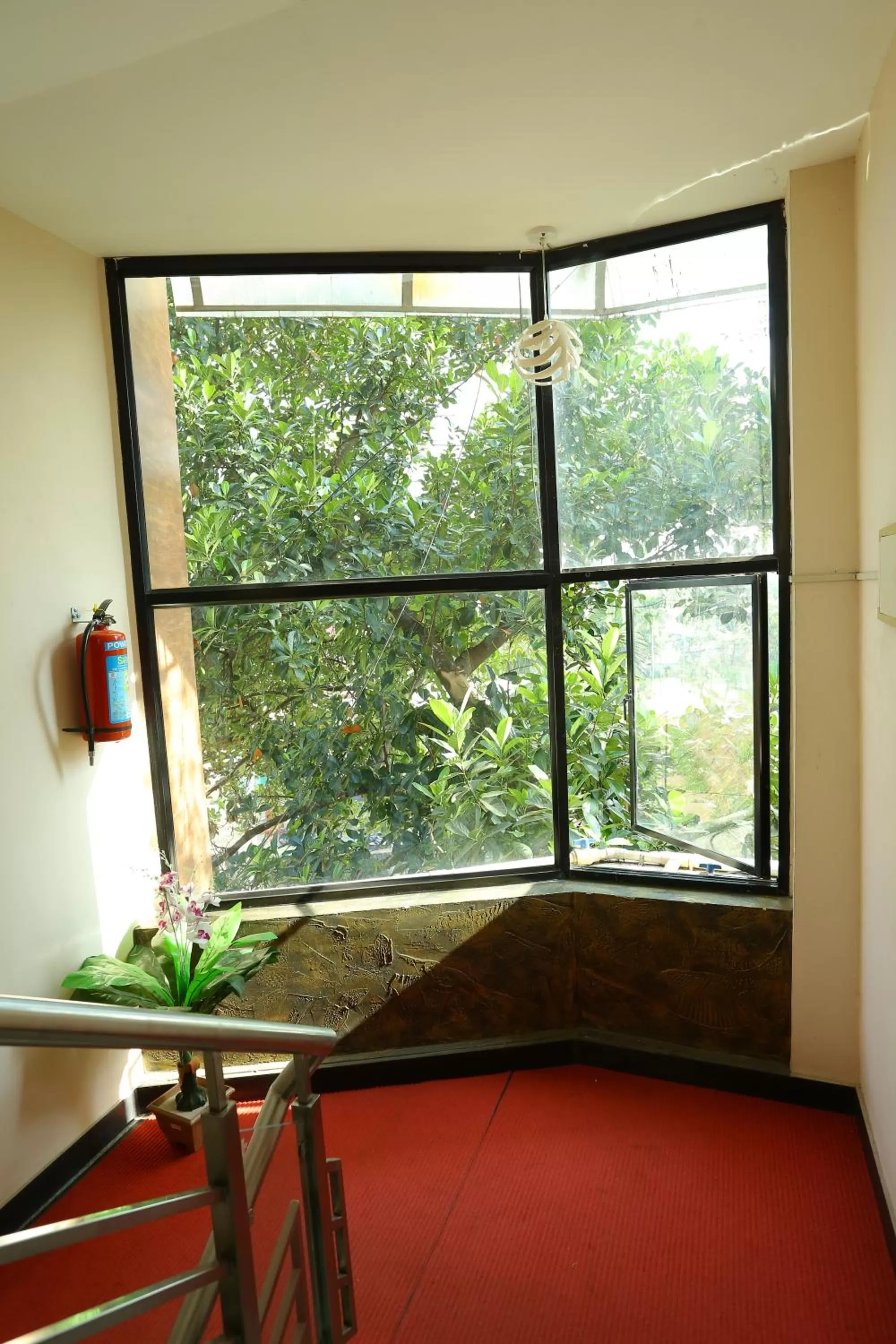 Garden view in Hotel Innate Inn