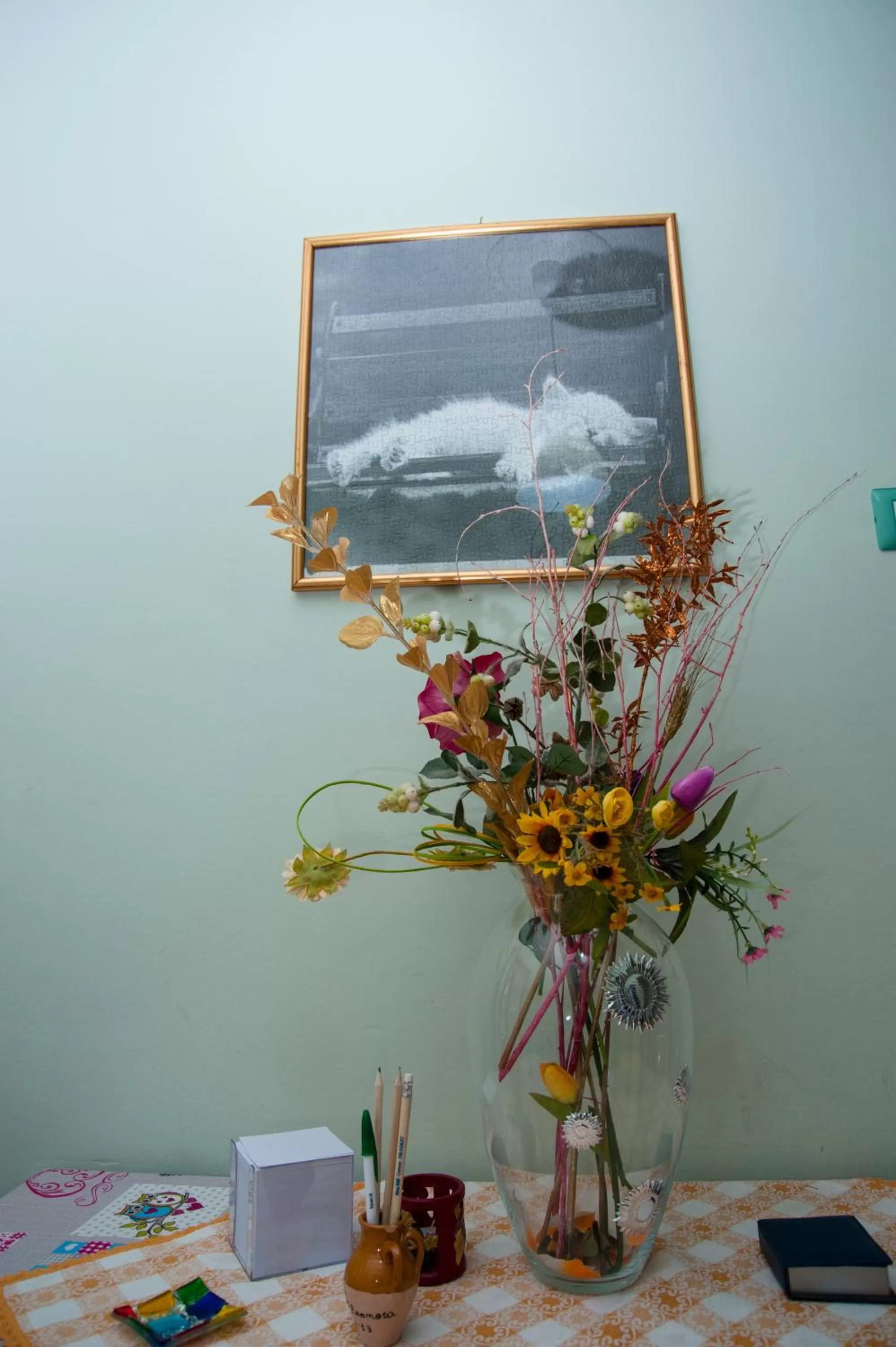 Communal kitchen in Alma b&b