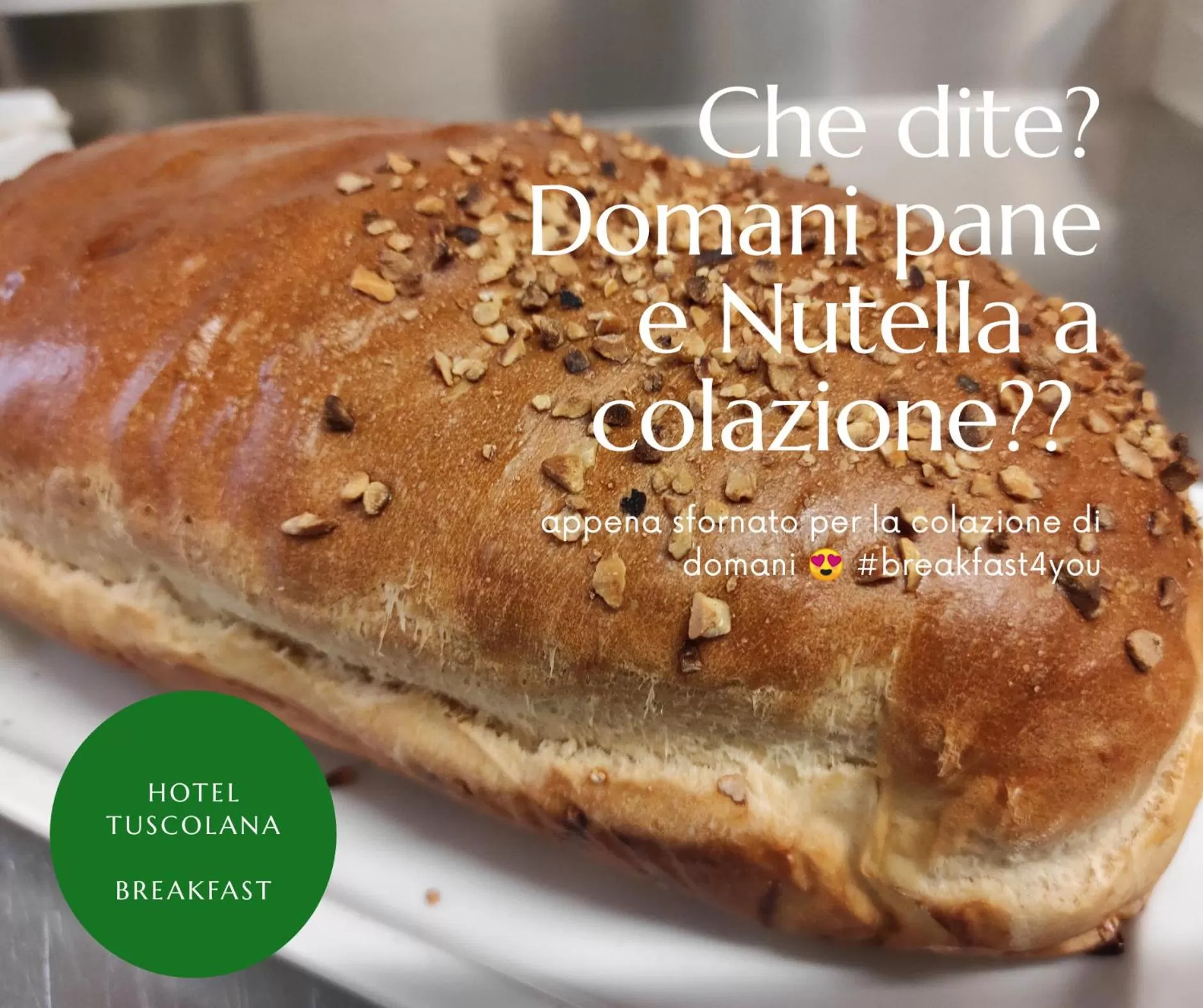 Food and drinks in Hotel Tuscolana