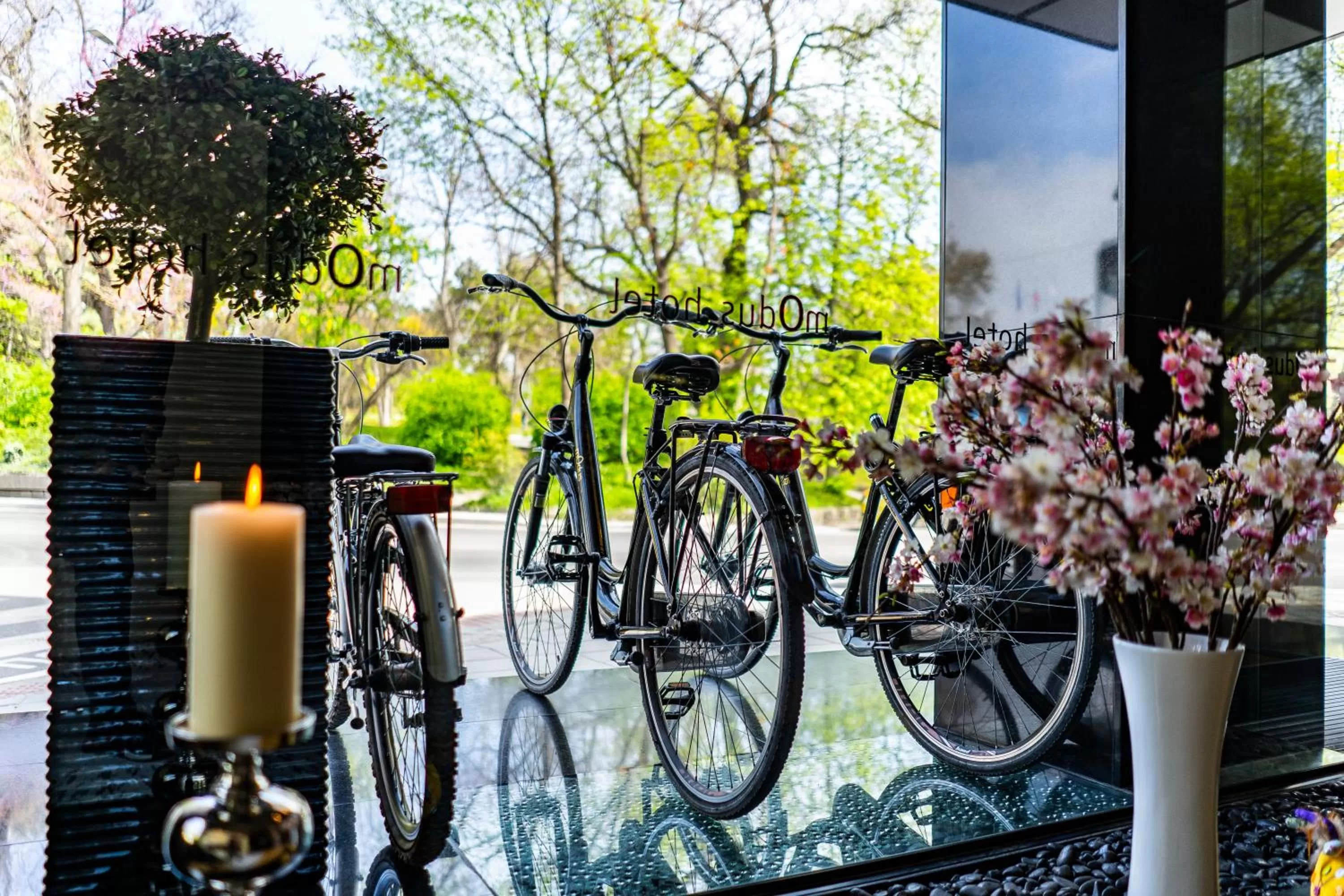 Cycling in mOdus Hotel